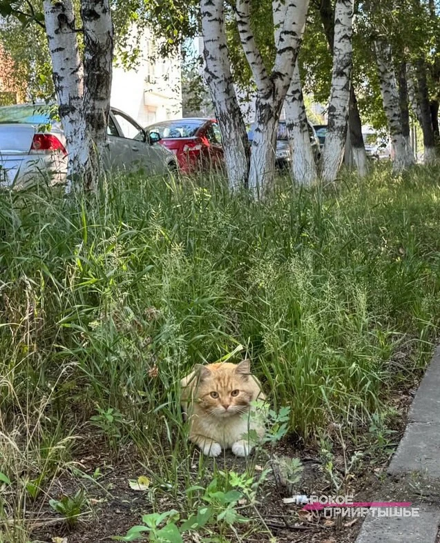 👋Доброе утро!
