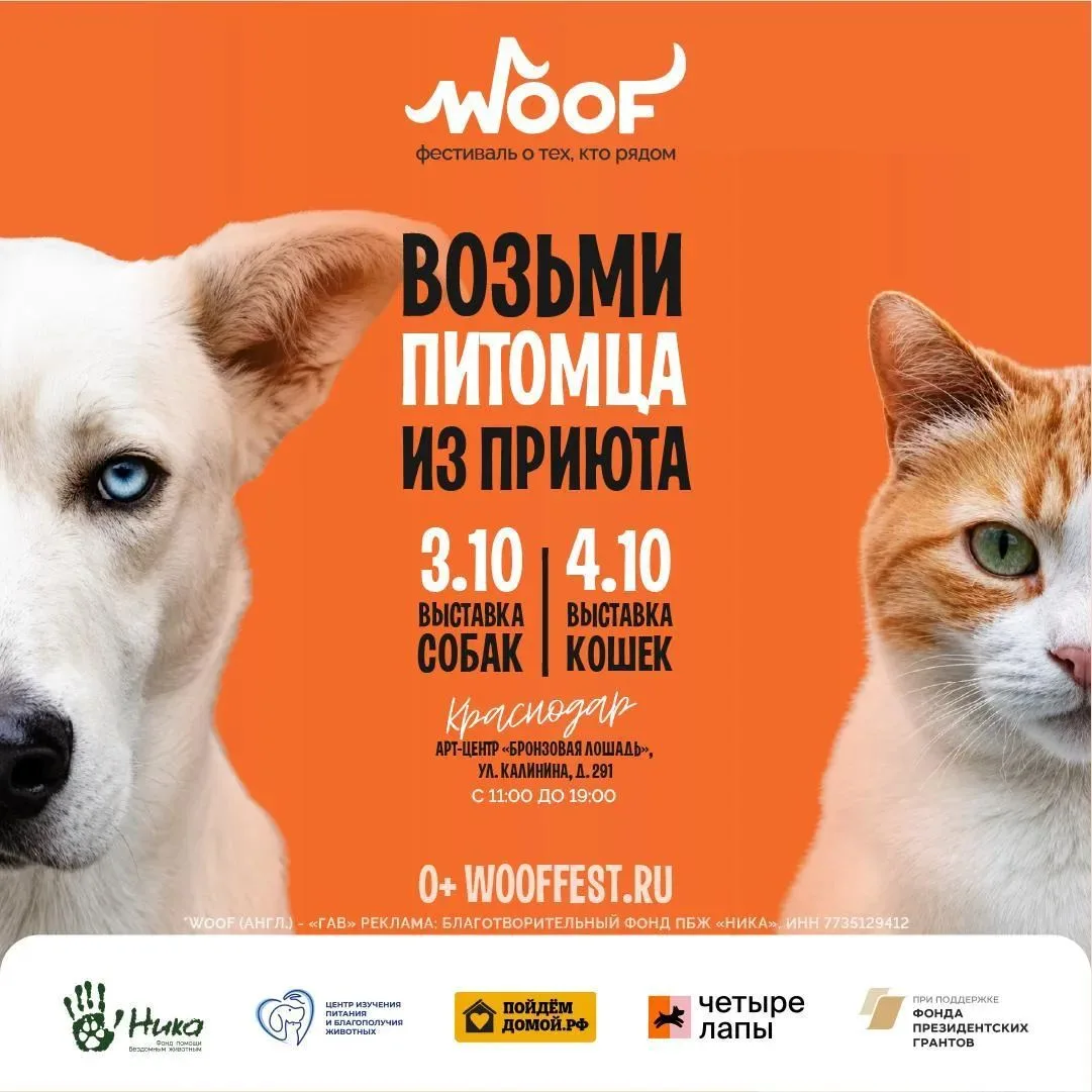 Благотворительный фестиваль «WOOF»
