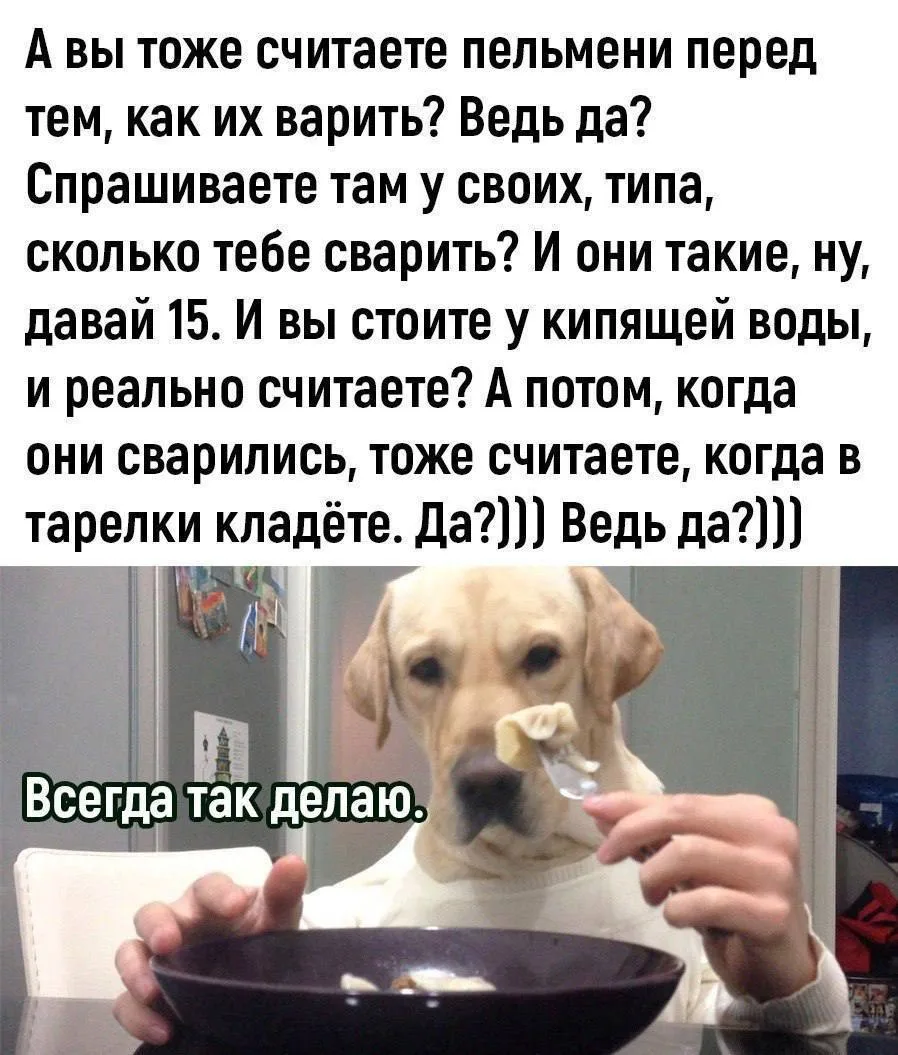 Кукуха в отъезде 🐦