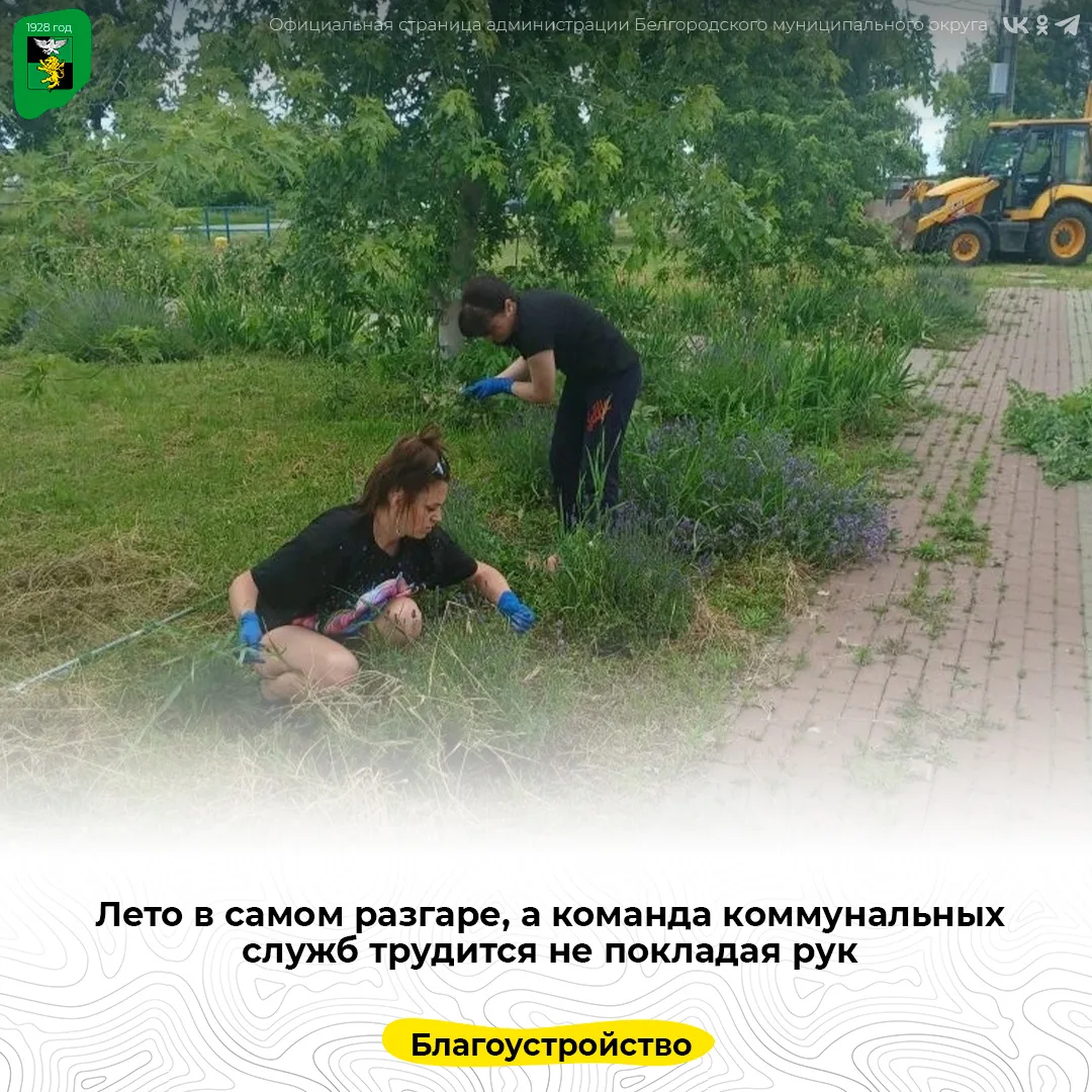Лето в самом разгаре, а команда коммунальных служб трудится не покладая рук

По всему округу разноси