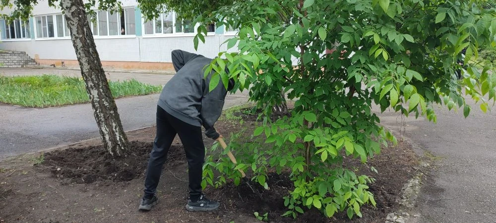 🚩 Внимание! В нашей школе стартовала трудовая практика на пришкольной территории! 🌱