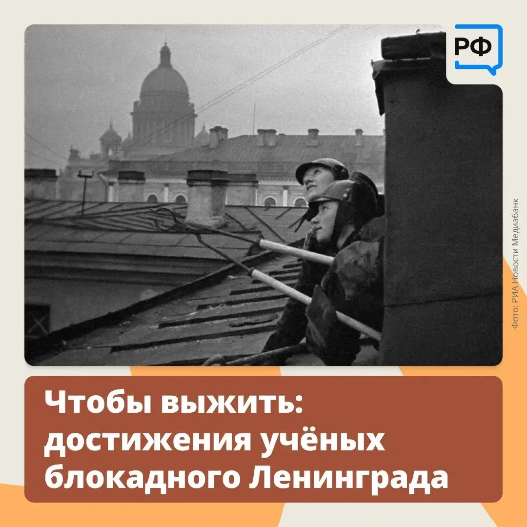 Прогибограф, хлеб с целлюлозой, технология размагничивания мин — разработки ленинградских учёных в г