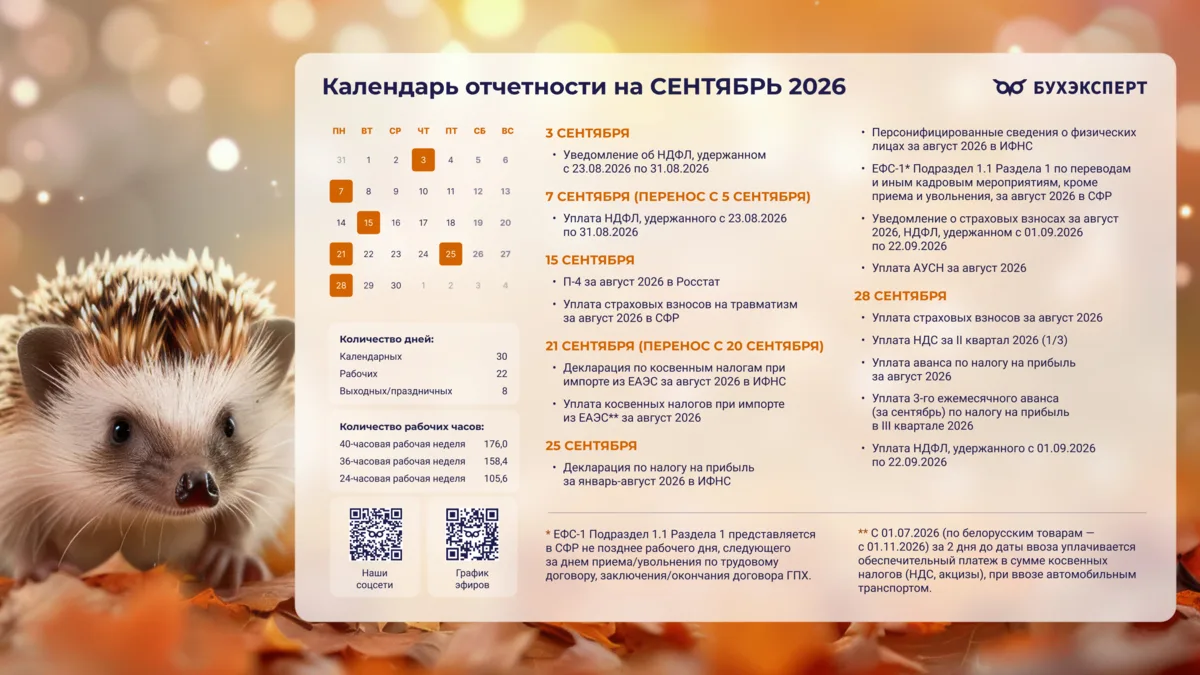 🦔 Бухгалтерские обои для рабочего стола