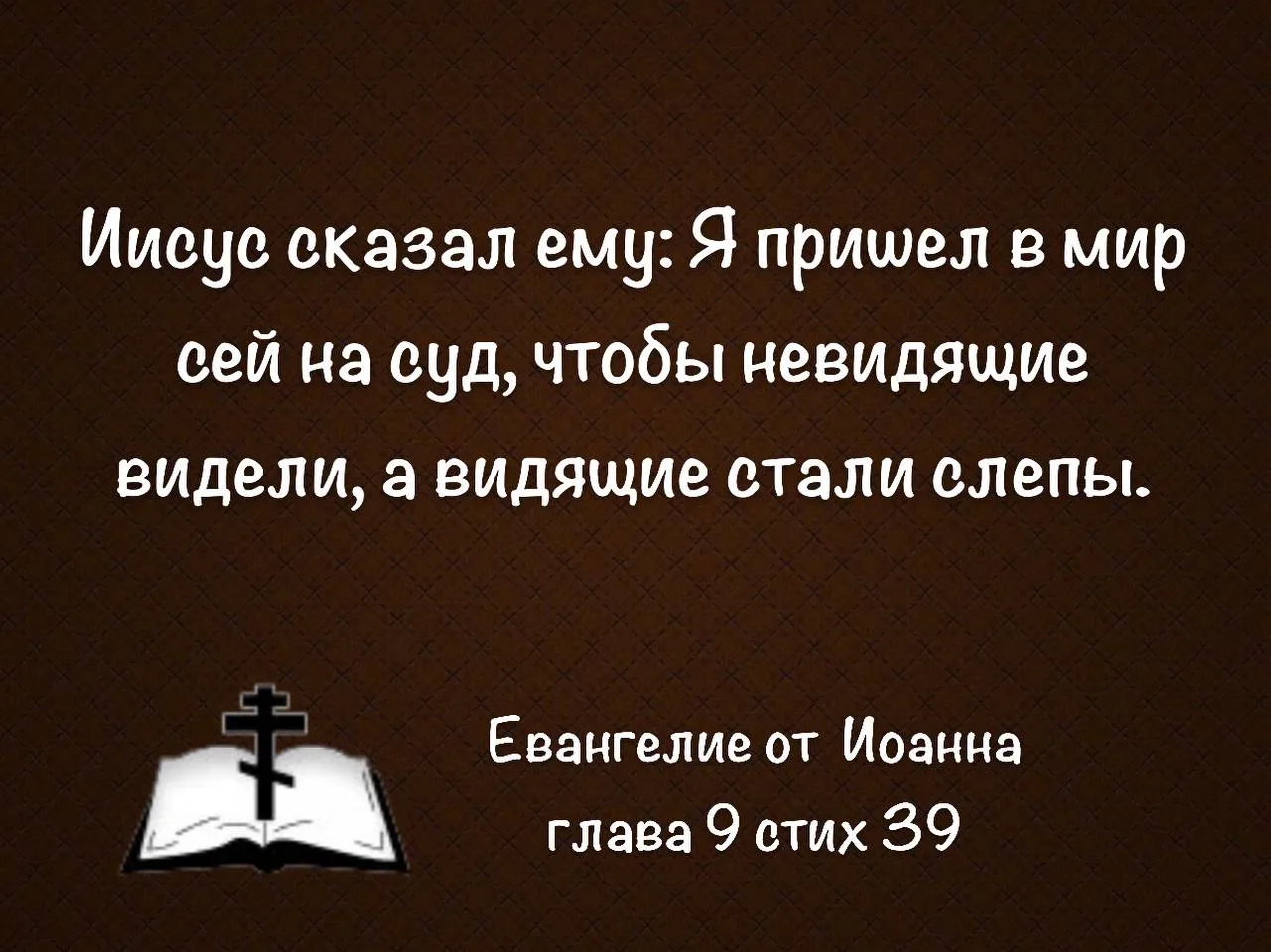 День 3️⃣3️⃣