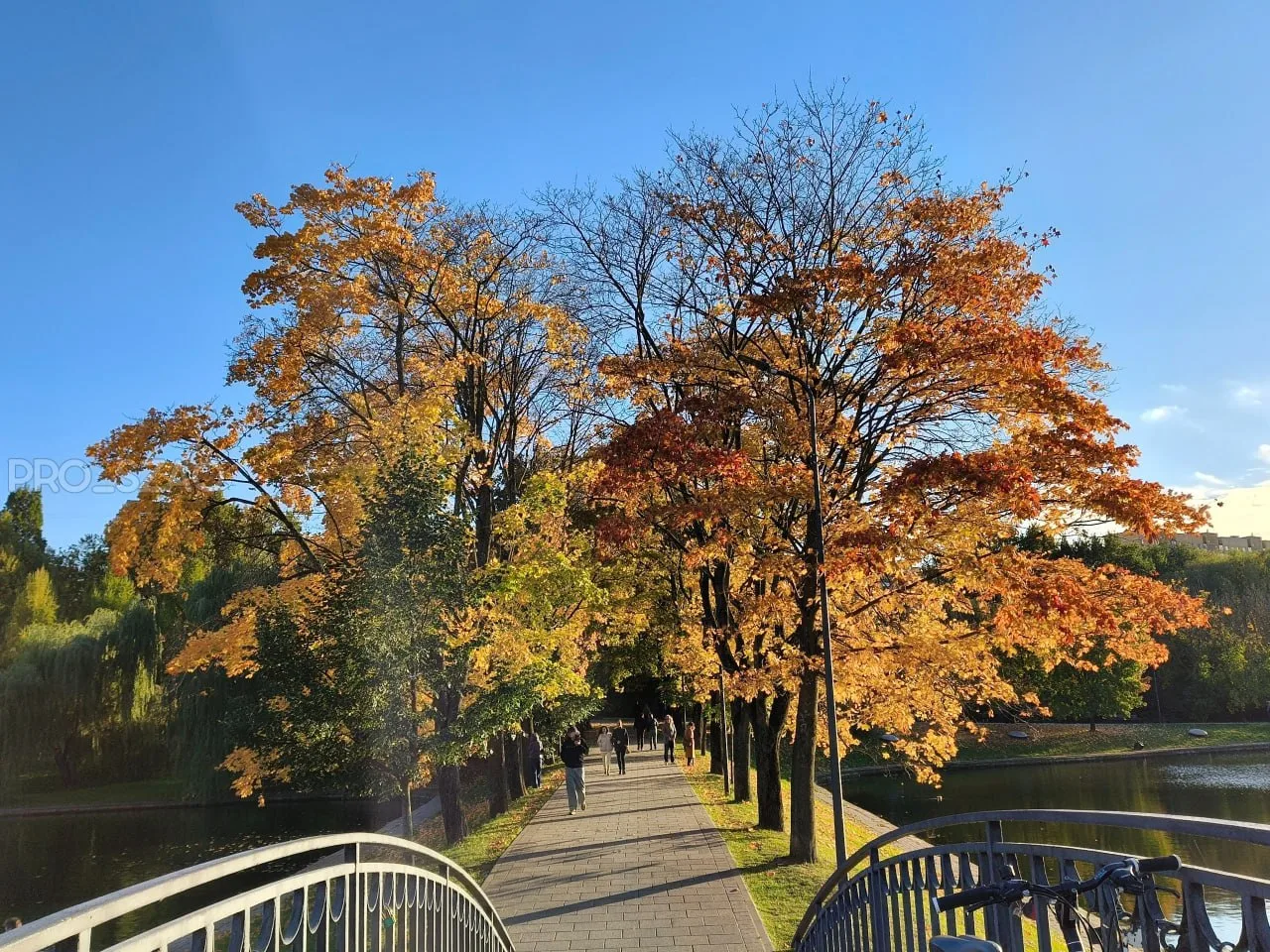 🍂Золотая осень в парке "Дружбы"