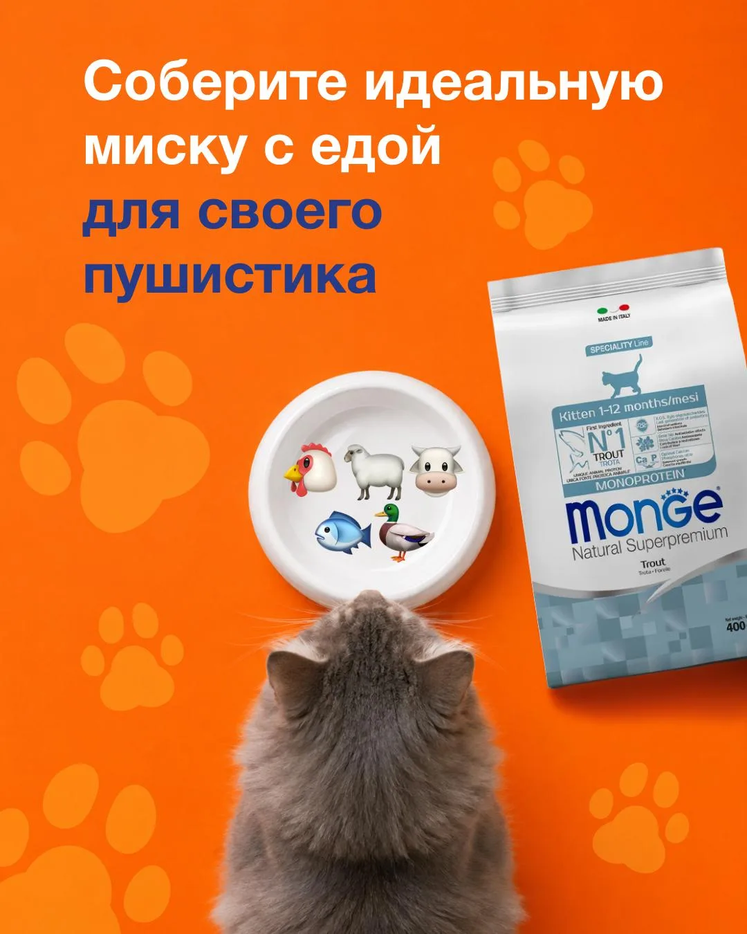 🍽 Ваша очередь собирать миску.