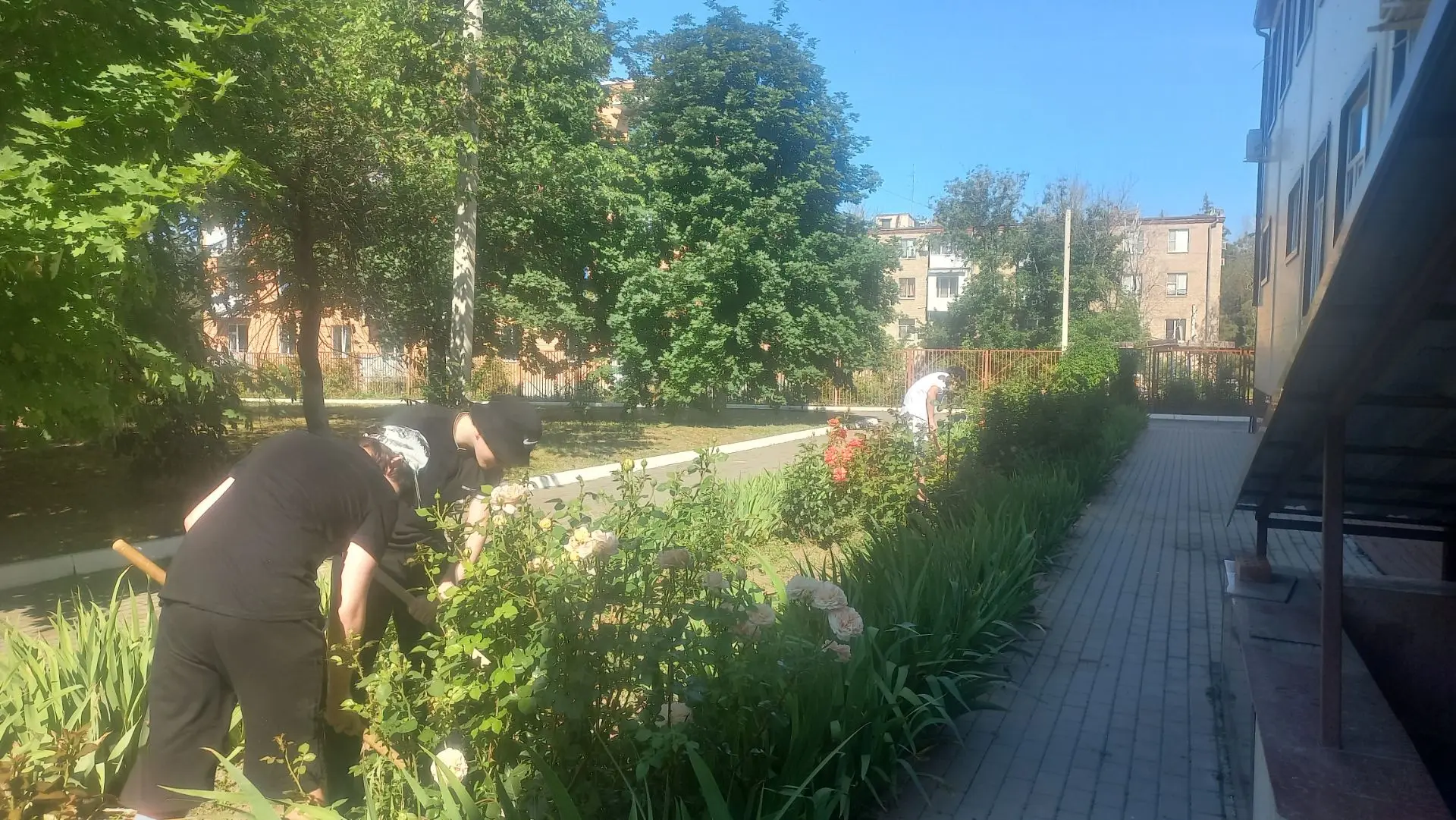 🌳 Уход за школьной территорией летом🌸
#МБОУСОШ61им.П.Е.Ладана