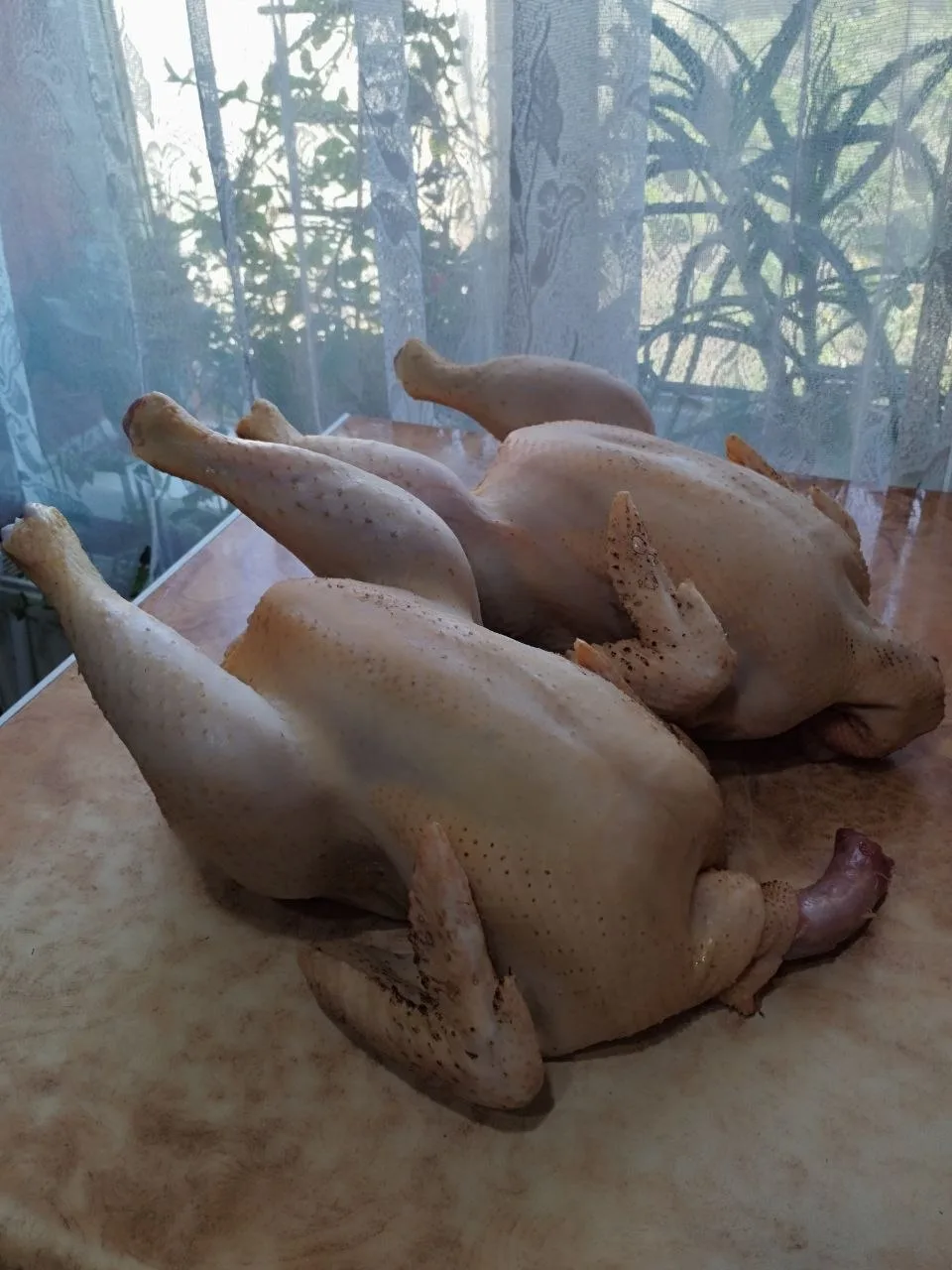 Предлагаю вашему вниманию домашних петушков! Мясо-яичного направления. Тушки примерно 2.5 кг. 650₽/к