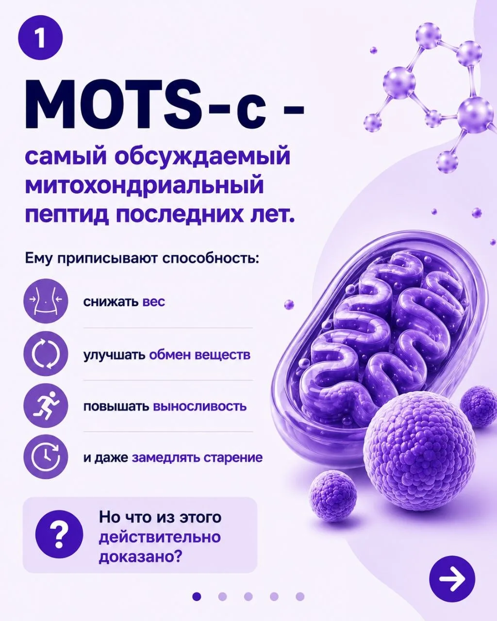 MOTS-c: самый обсуждаемый митохондриальный пептид последних лет

Если спросить специалистов, какая м