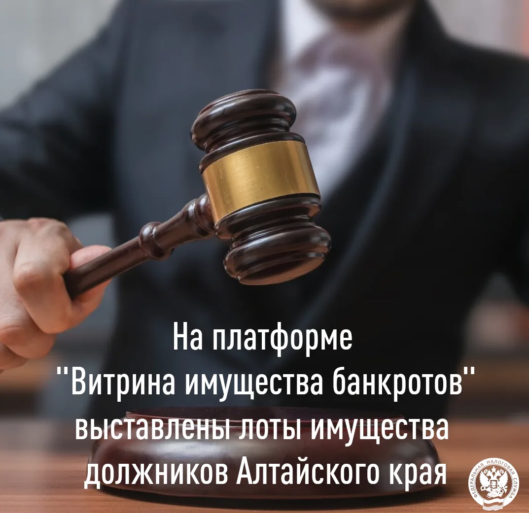 На онлайн- платформе «Витрина имущества банкротов» в настоящее время размещено 234 лота с активами д