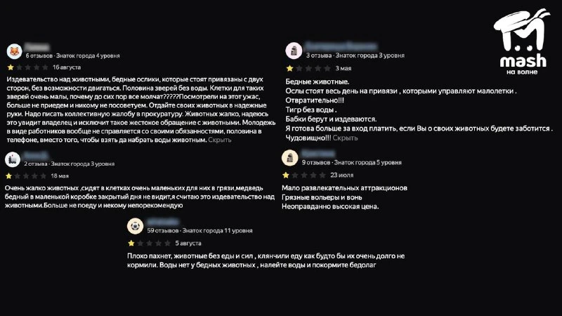 🐶 В крымском зоопарке «Ишачок» нашли грязные клетки