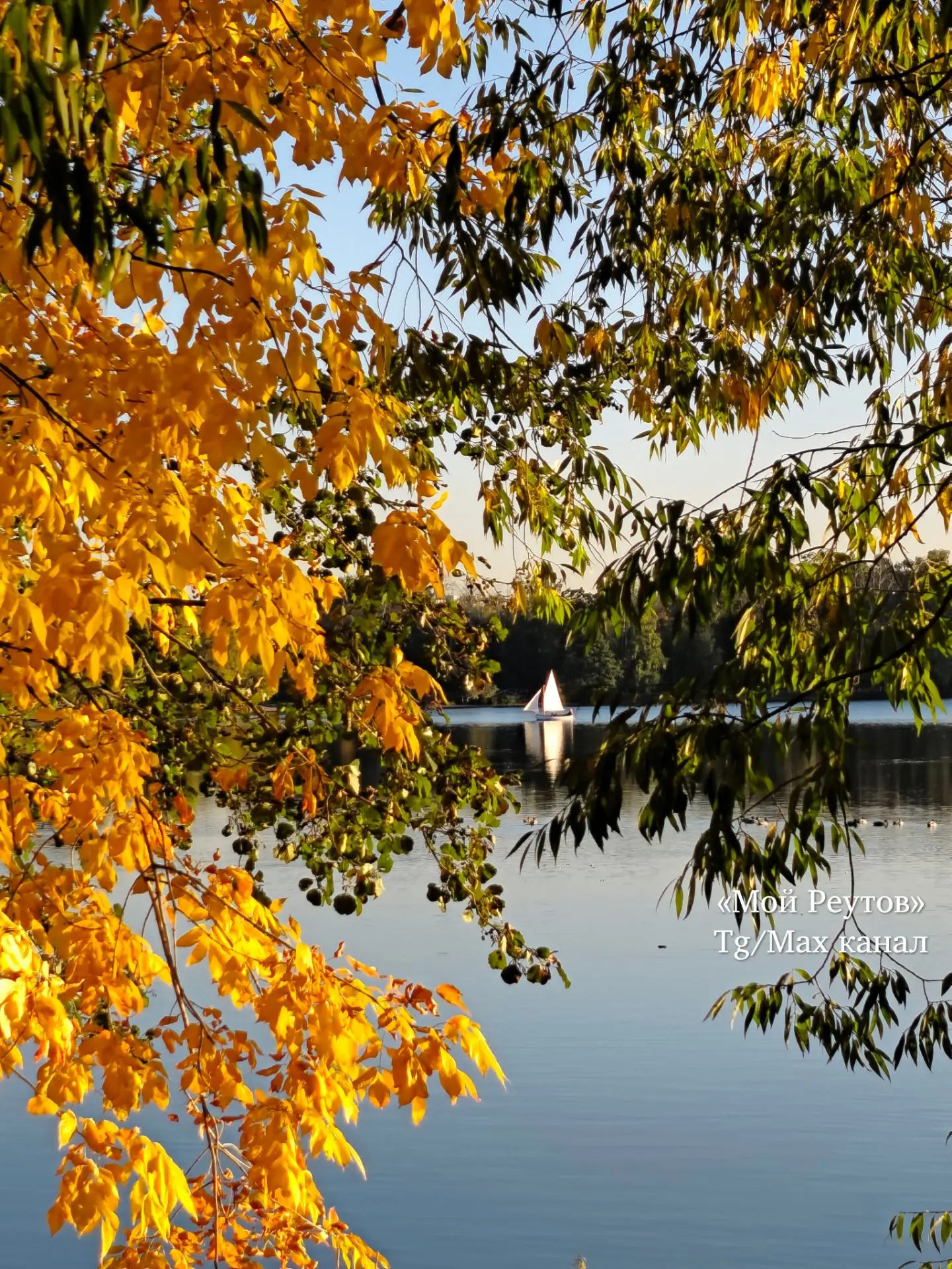 🍁 Всем привет с Белого озера. Отличное место для осенней прогулки.