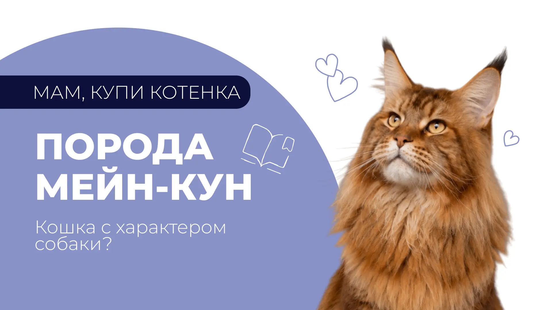 За что люди любят мейн-кунов?🧐

Можно подумать, что все дело в размерах, кисточках на ушах или пуши