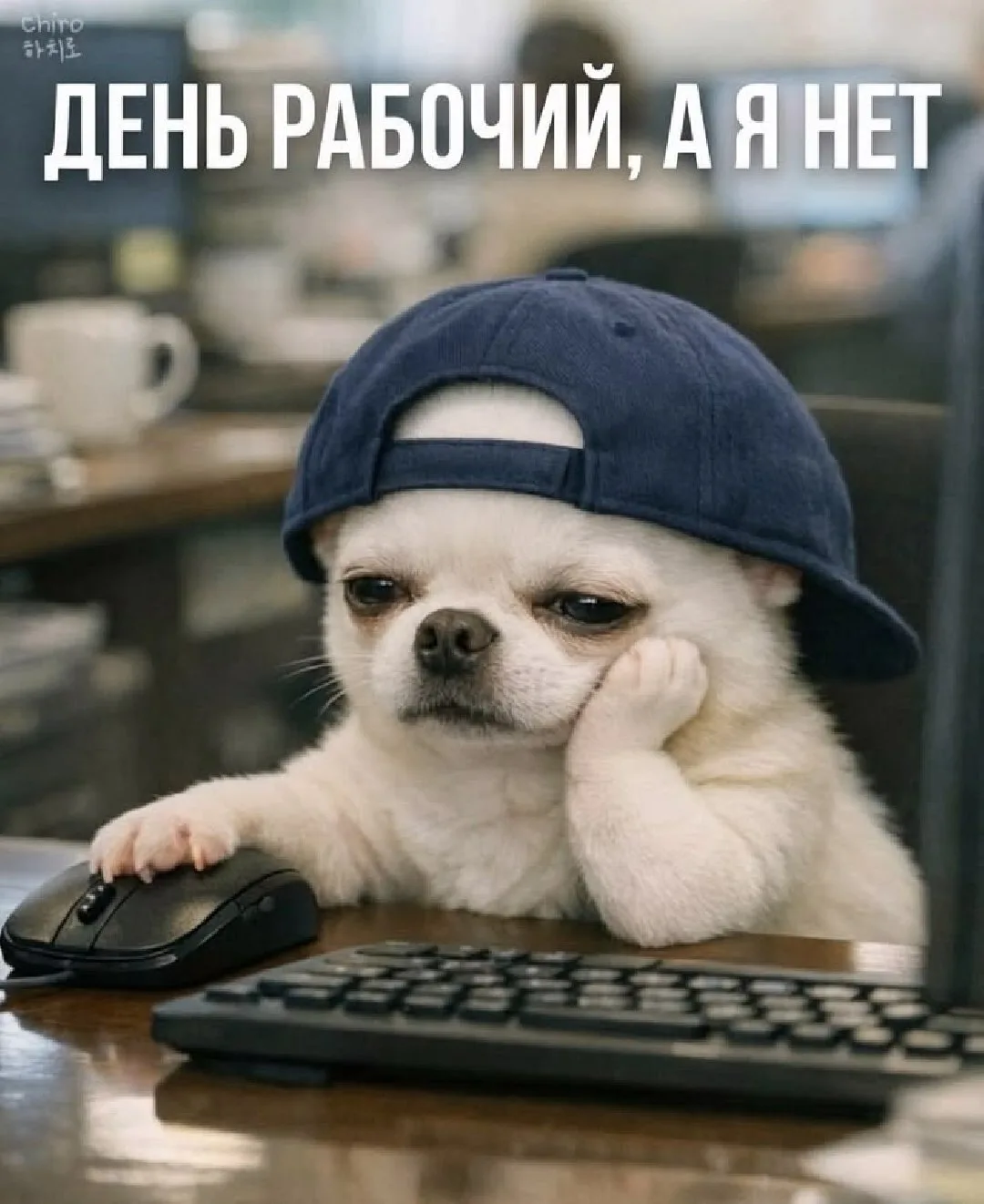 Доброе утро, дорогие ☕