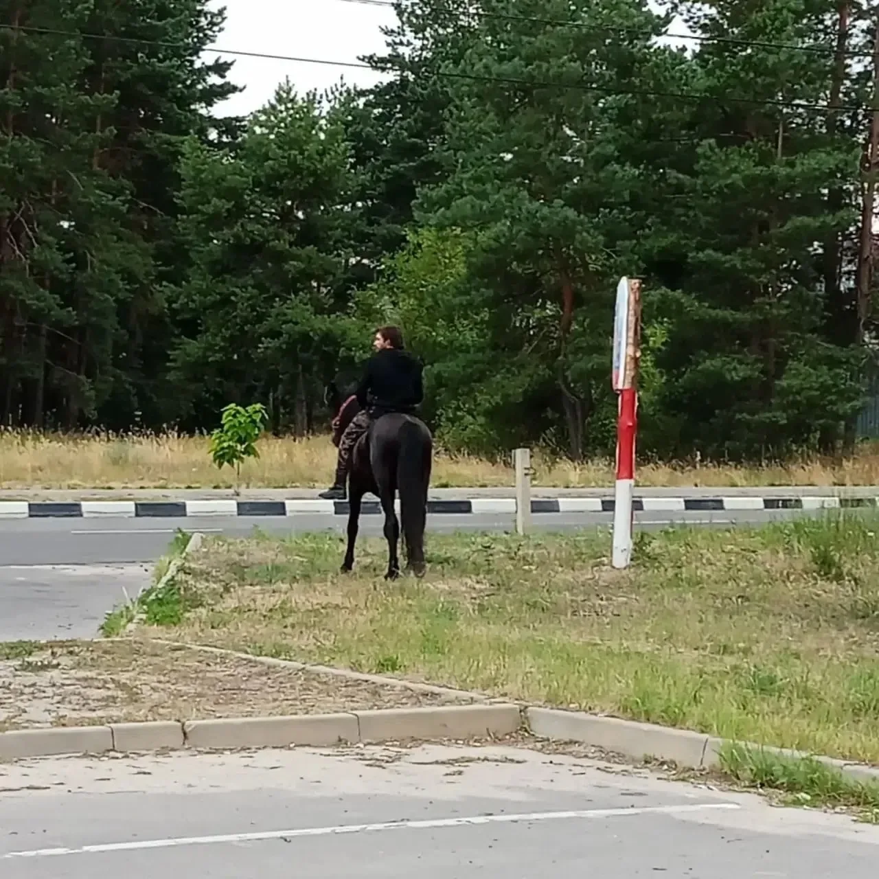 Воронежский Гэндальф готовится повести в бой Братство бензина