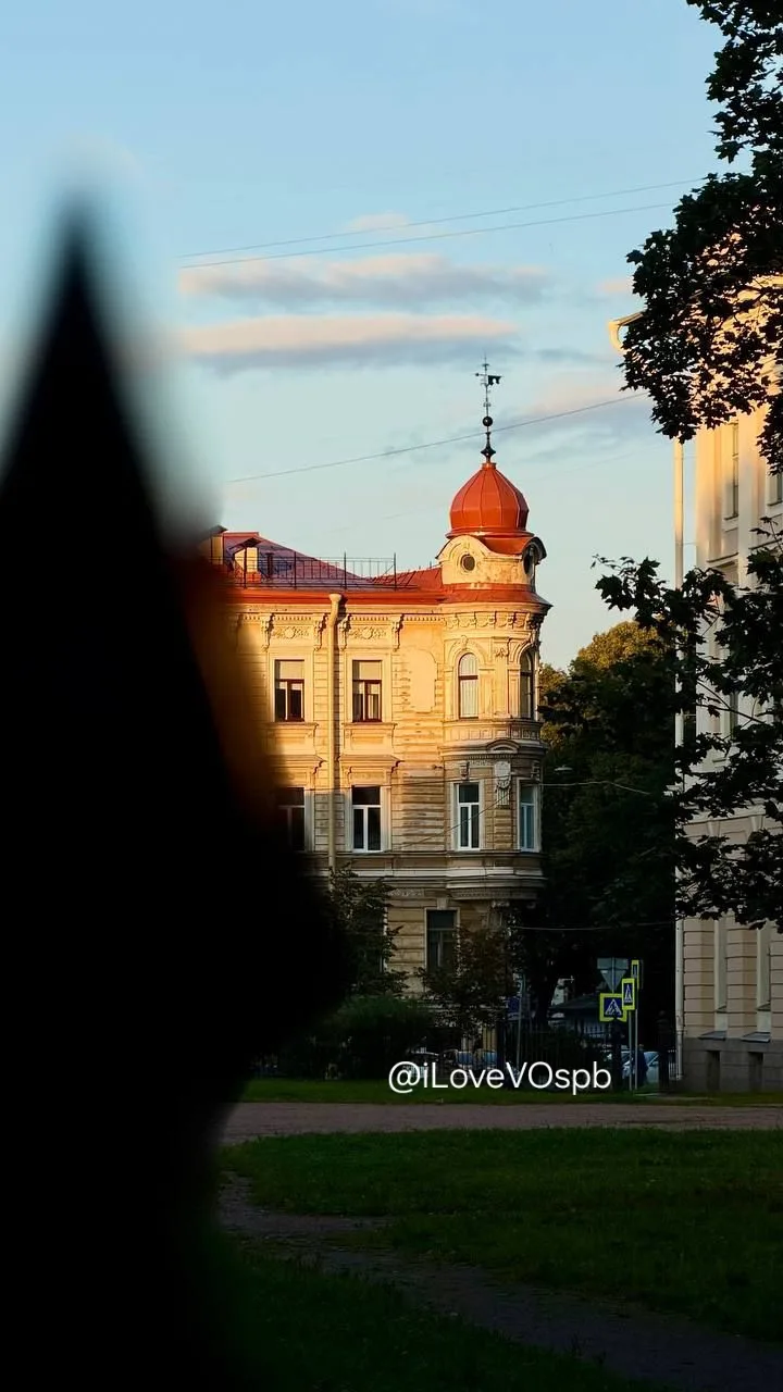 Флюгер вернули на Дом Девриена!