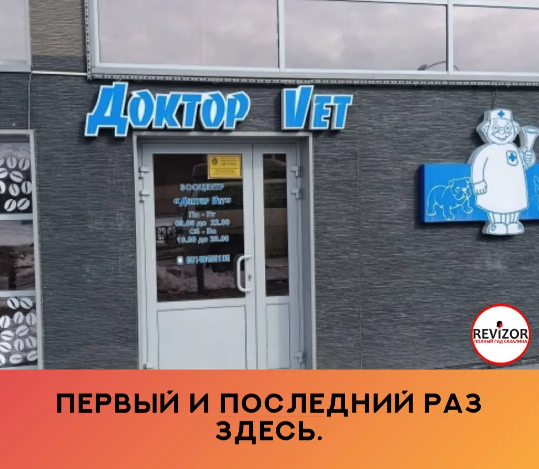 Кошка сходила по‑маленькому с кровью. Позвонила в 16:53 и записалась на 21:20, так как работаю до 21