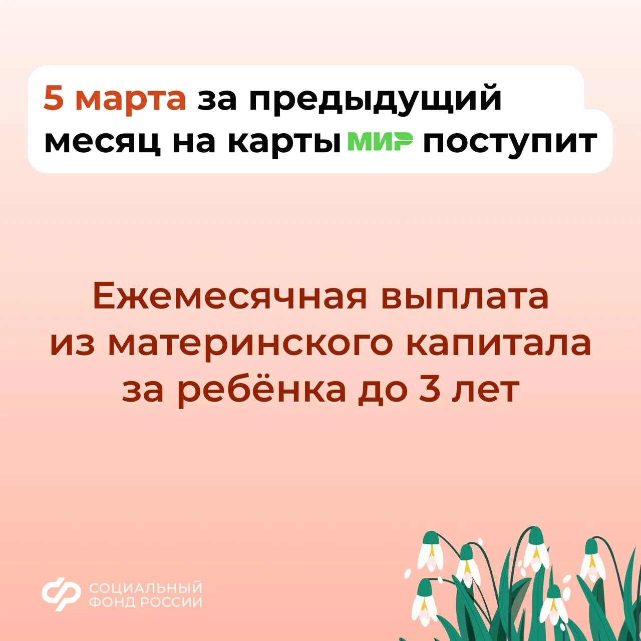 👨‍👩‍👦 3, 5 и 6 марта – дни зачисления выплат семьям с детьми на карты и счета    💳 Напоминаем, что п