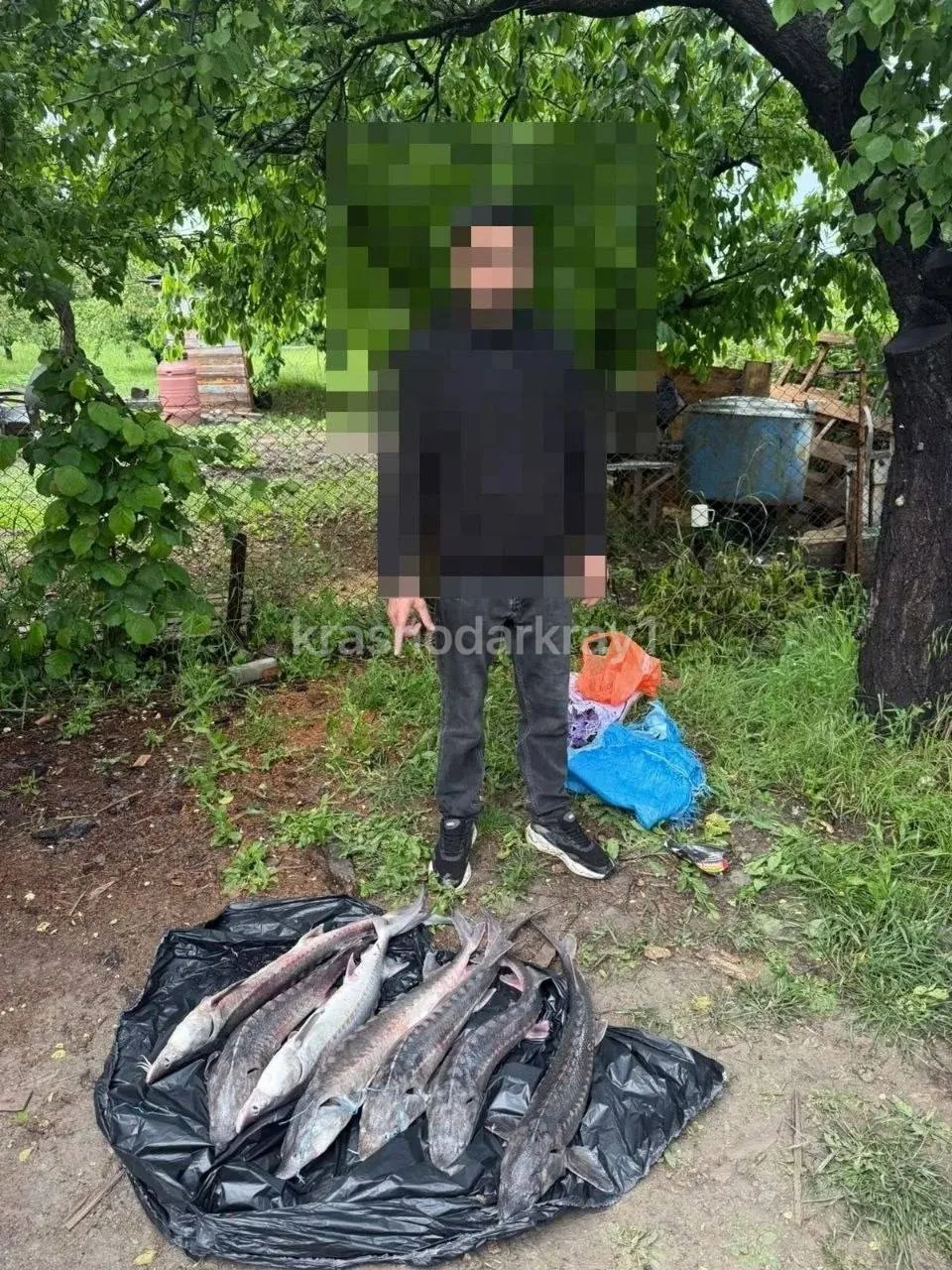 🐟Осетры вне закона  В рамках опреации «Путина» сотрудники полиции Анапы задержали 30‑летнего граждан