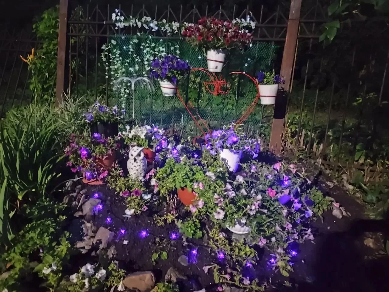 🌸Продолжаем делиться красотой наших петунии в ночное время. 🌸