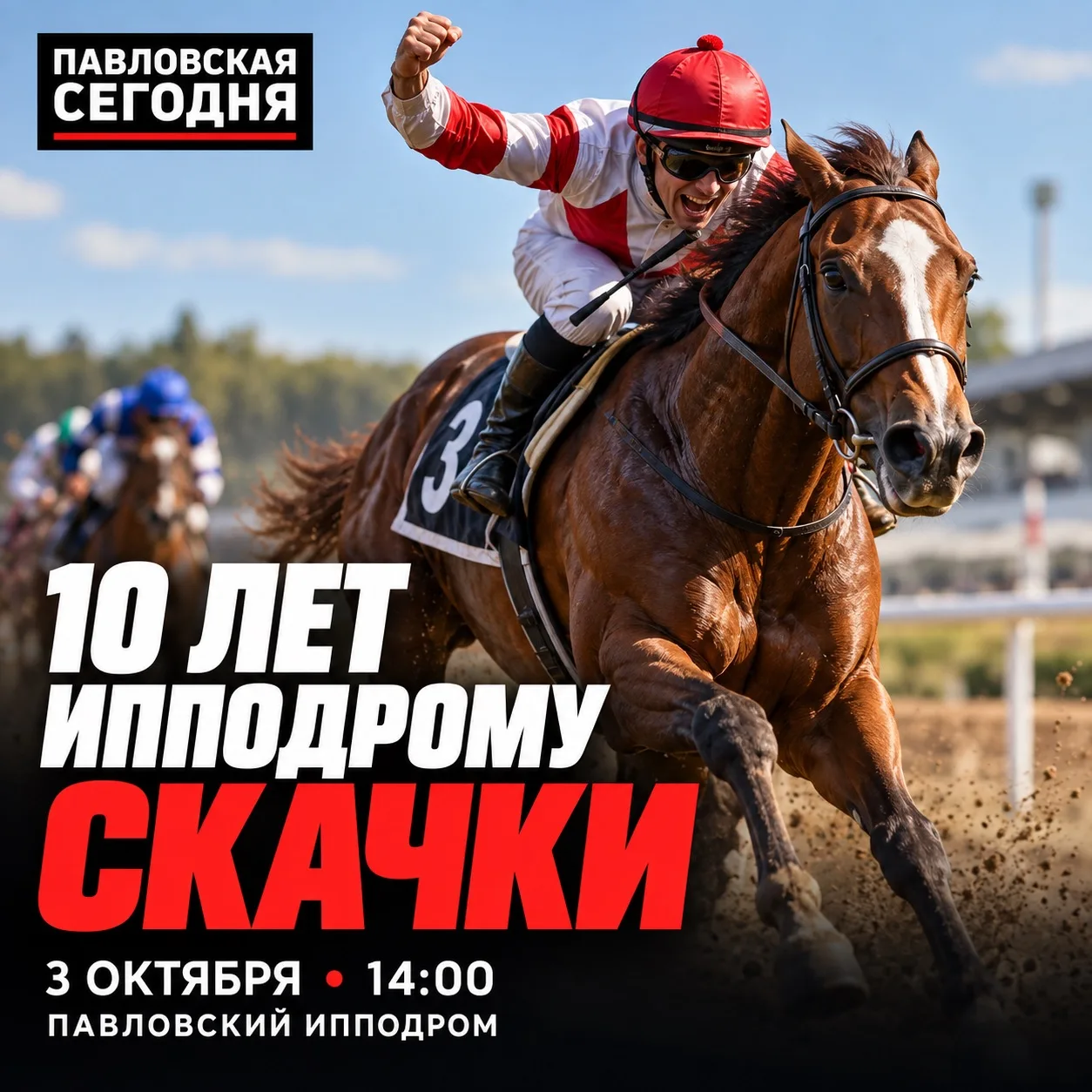 🏇 Павловский ипподром отметит 10-летие большим праздником
