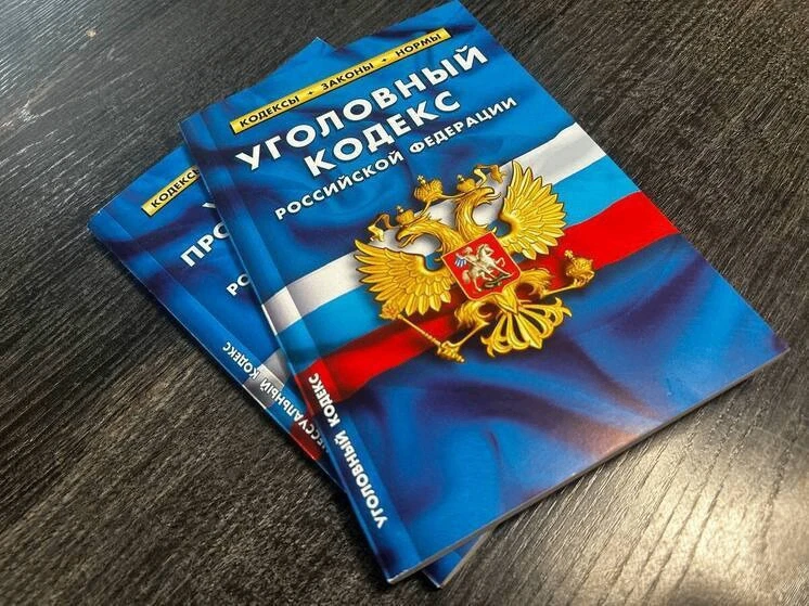В Алтайском крае опекун присвоила 9 млн рублей детей погибшего бойца СВО