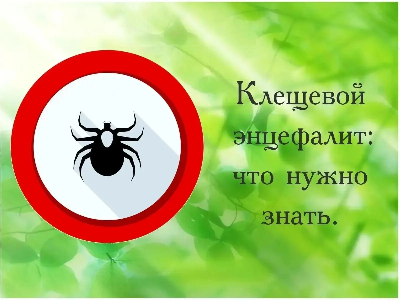 Клещевой вирусный энцефалит – острое инфекционное вирусное заболевание, с преимуществен...