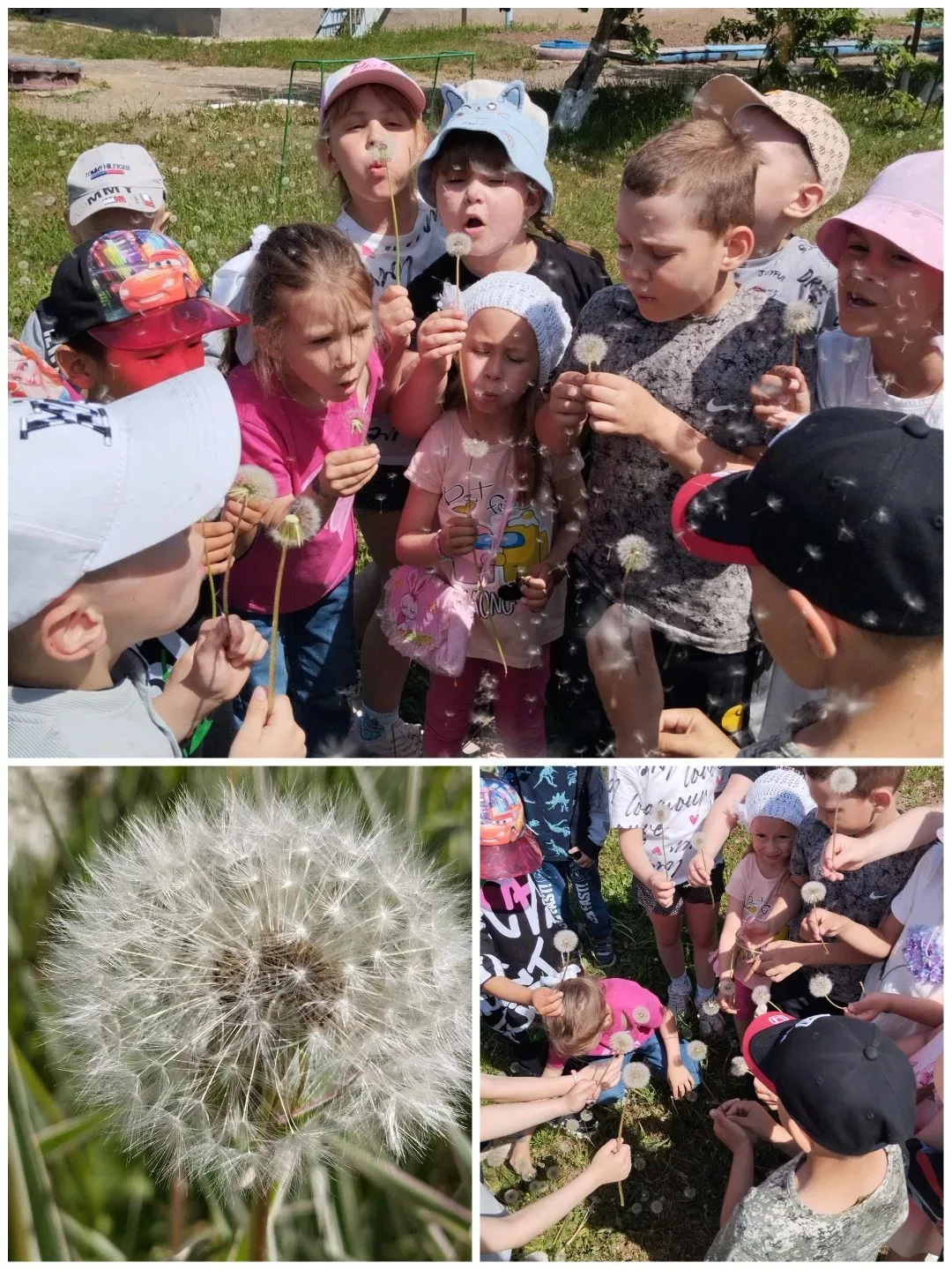 Я белею в чистом поле.