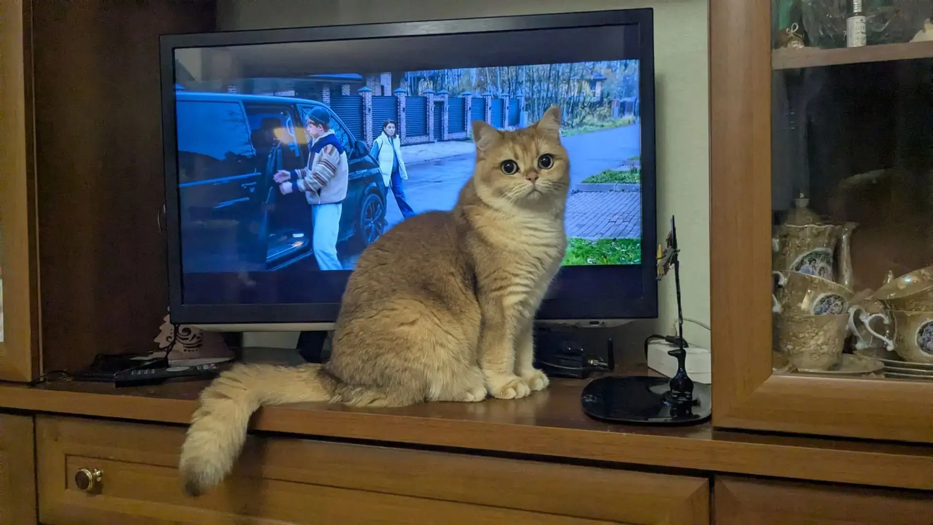 Изюм решил, что лучше всем смотреть на него, чем на телевизор)))