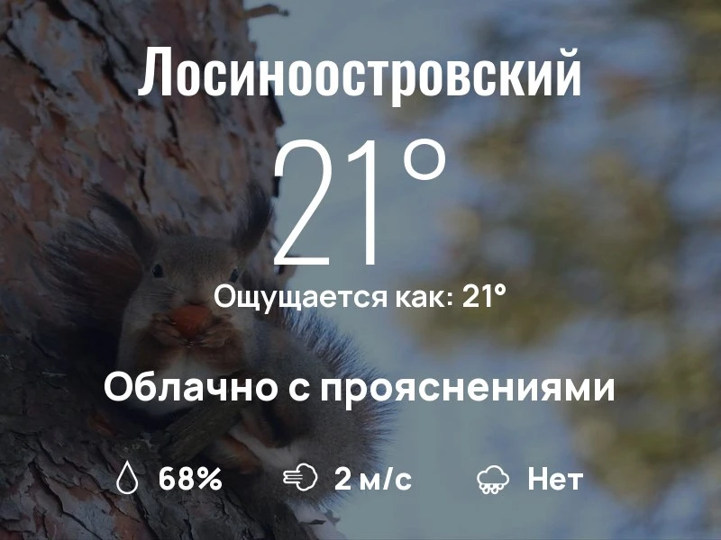 Что с погодой в Лосиноостровском?