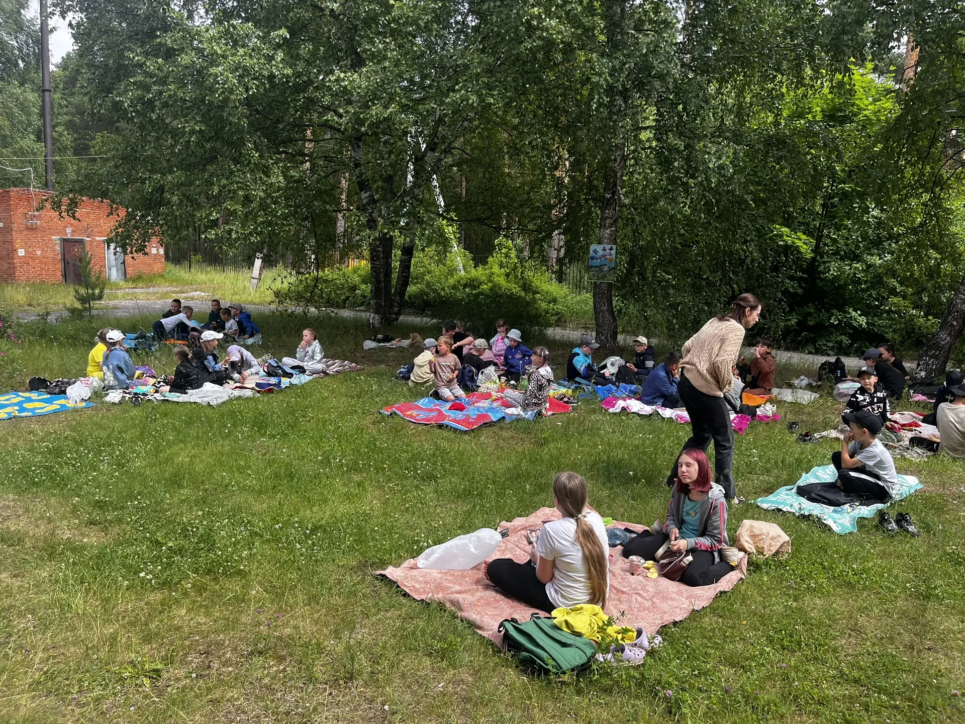Сегодня идеальный день, чтобы быть на природе! ☀️