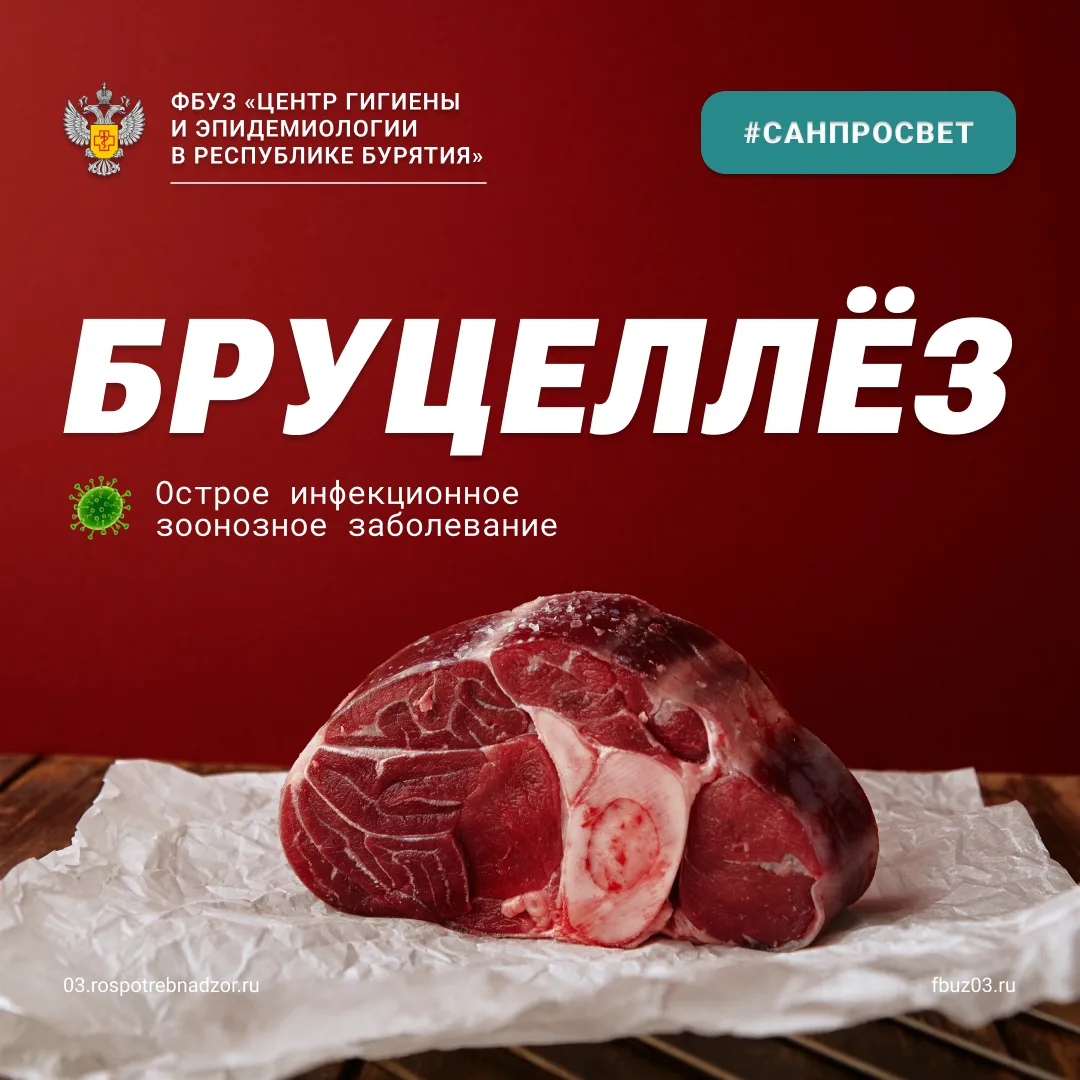 Сегодня поговорим о болезнях, которые передаются от животных к человеку. Одна из таких ...