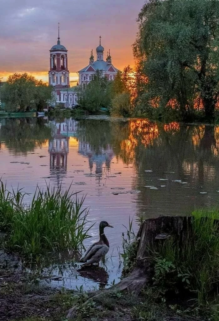 Вы слышите, как пахнет тишиной?