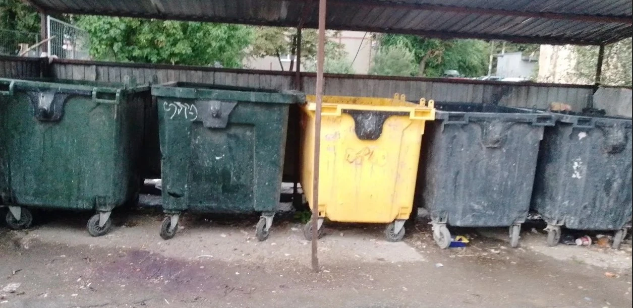 В Саратове после обращения жителя в систему ПОС очистили контейнерную площадку

Жители быстро и опер