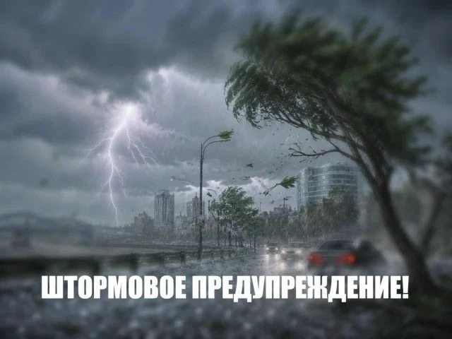 ⚡️ Внимание, жители Ростовской области! ⚠️ 
 
В ближайшее время ожидаются ливни, штормовой ветер и г