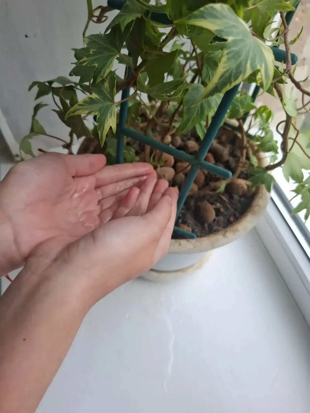 💧 Акция «Капля жизни»