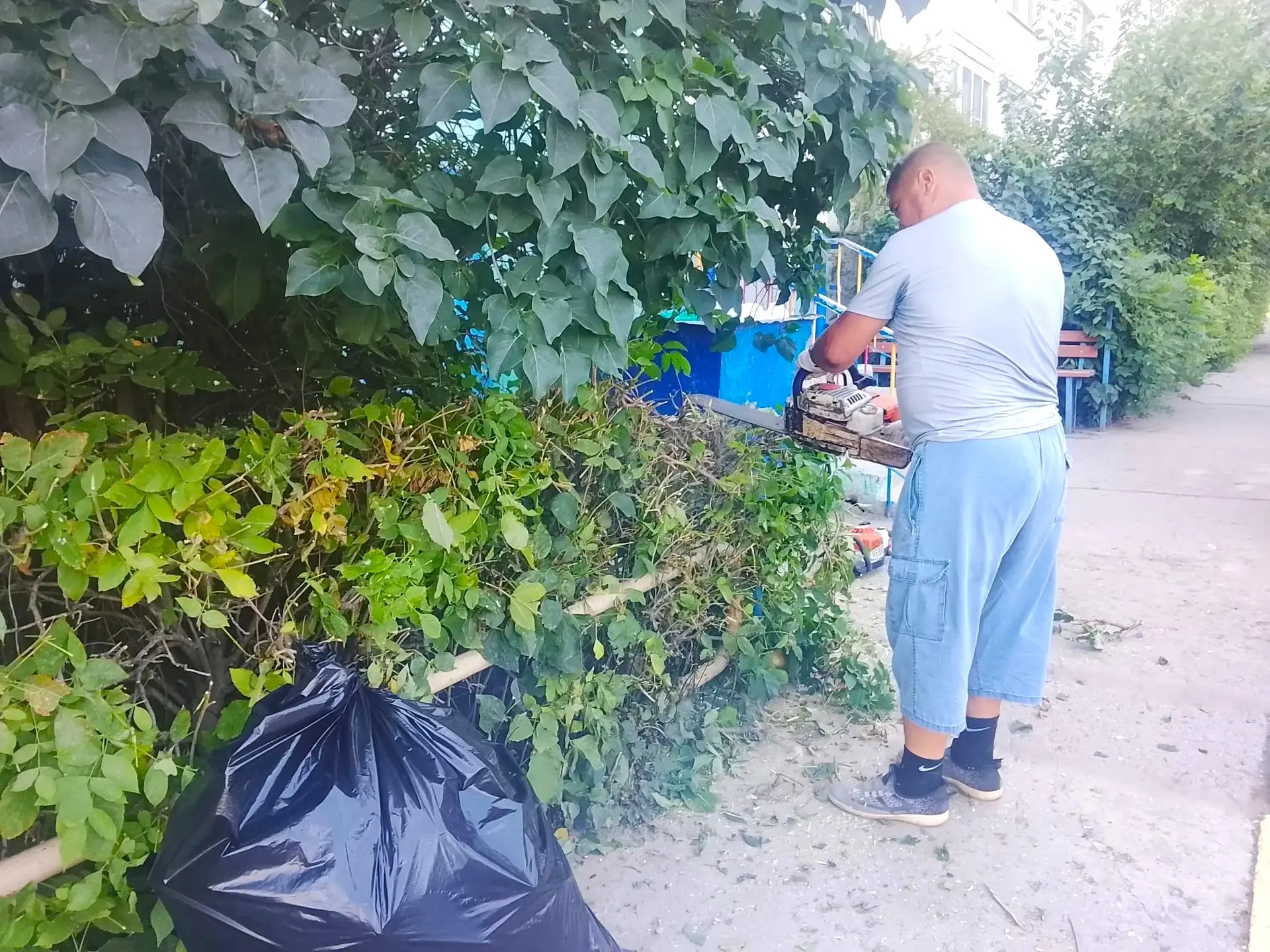 К новости «🌿 Зелёная стрижка для идеального порядка! ✂️»