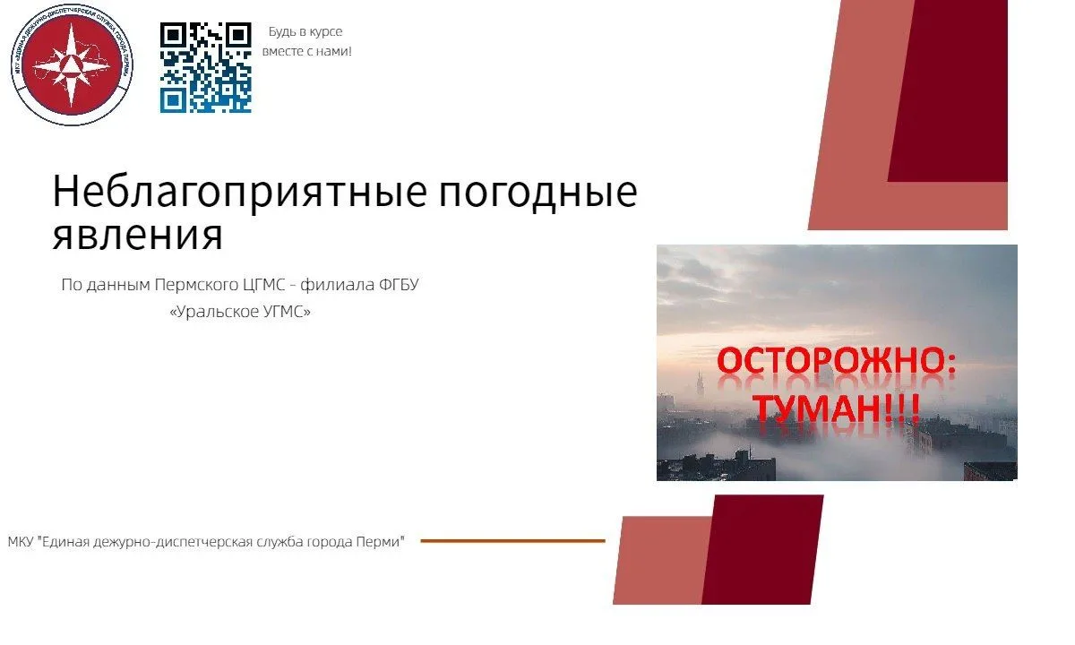 ‼️По данным Пермского ЦГМС 13 июня по Пермскому краю ожидается ночью в отдельных районах туман, днем