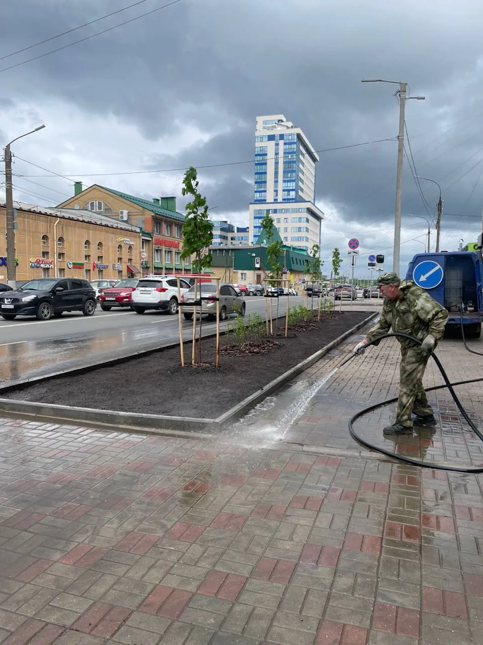 На Профсоюзной в районе перекрёстка с улице Ленина высадили молодые деревья