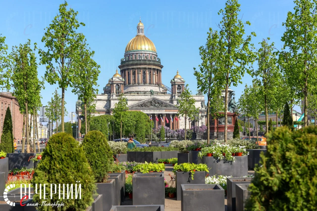🌳 Петербуржцев приглашают на экскурсию по саду-трансформеру у Исаакиевской площади