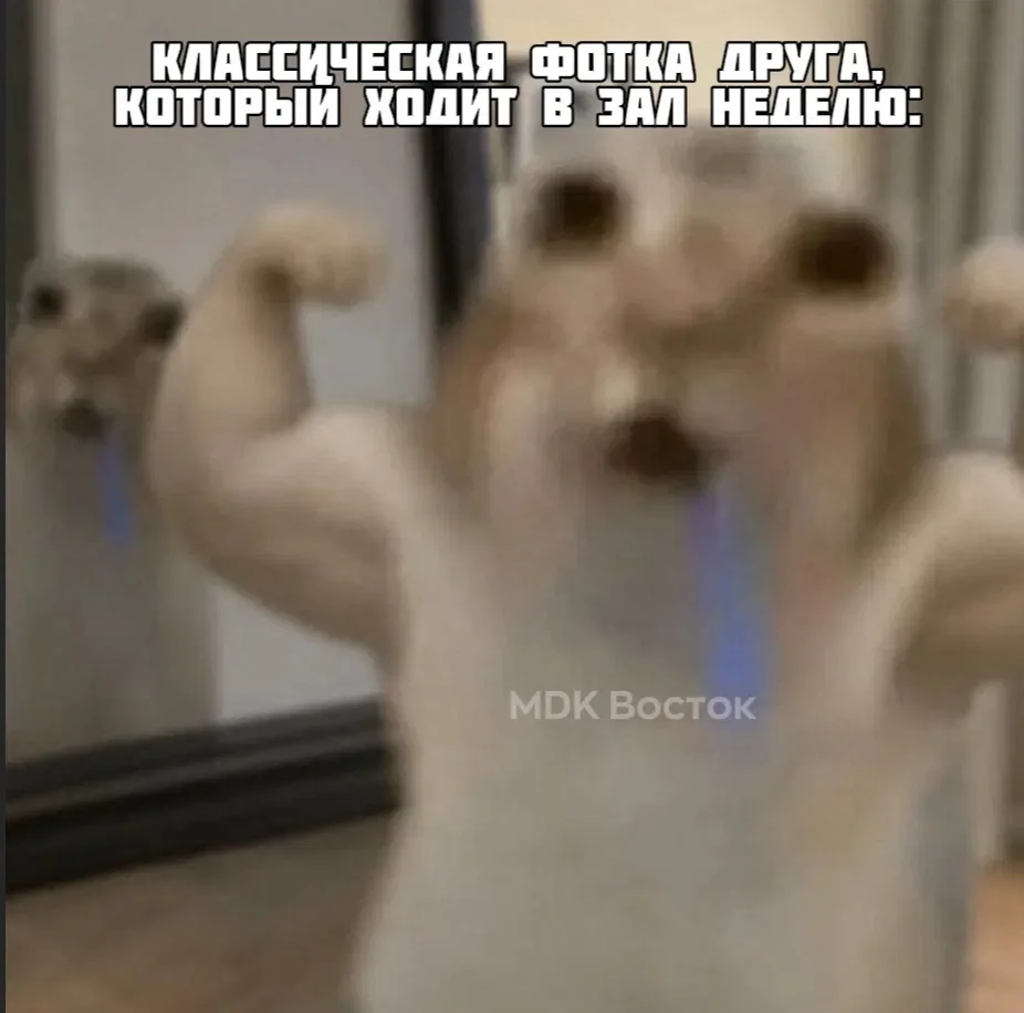 Машина (стиральная)