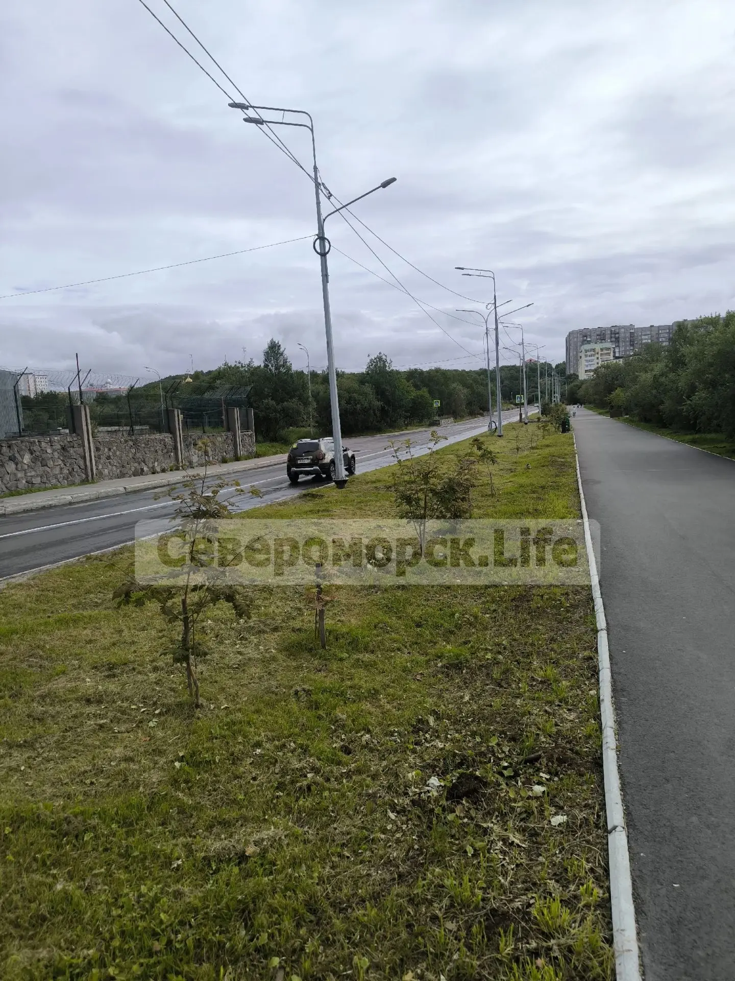 🙁 Будущая аллея пострадала в ходе проведения работ по покосу травы?