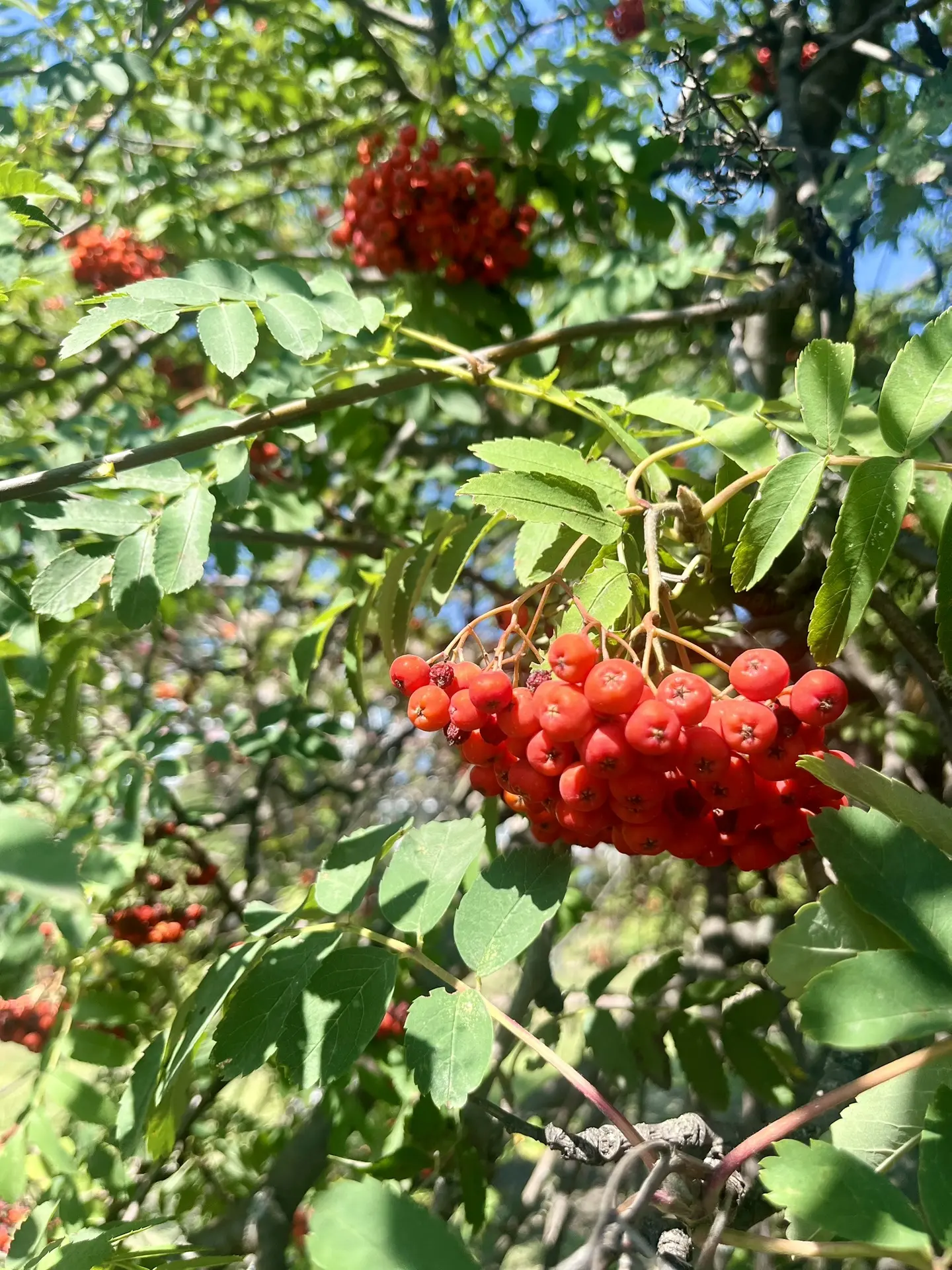 Верьте в лучшее! 🍉💚