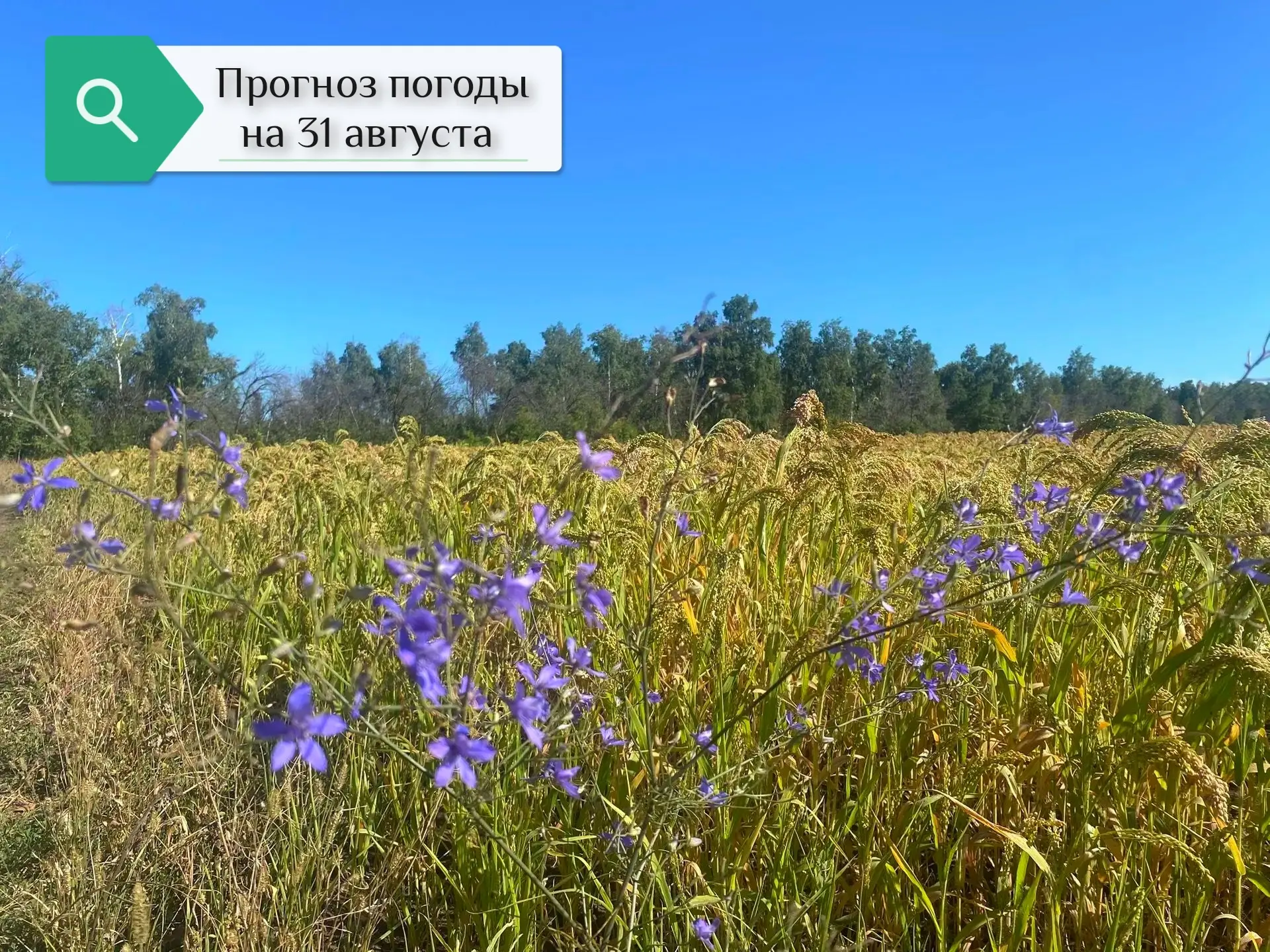 ⛅ Прогноз погоды на 31 августа: синоптики прогнозируют первые ночные заморозки