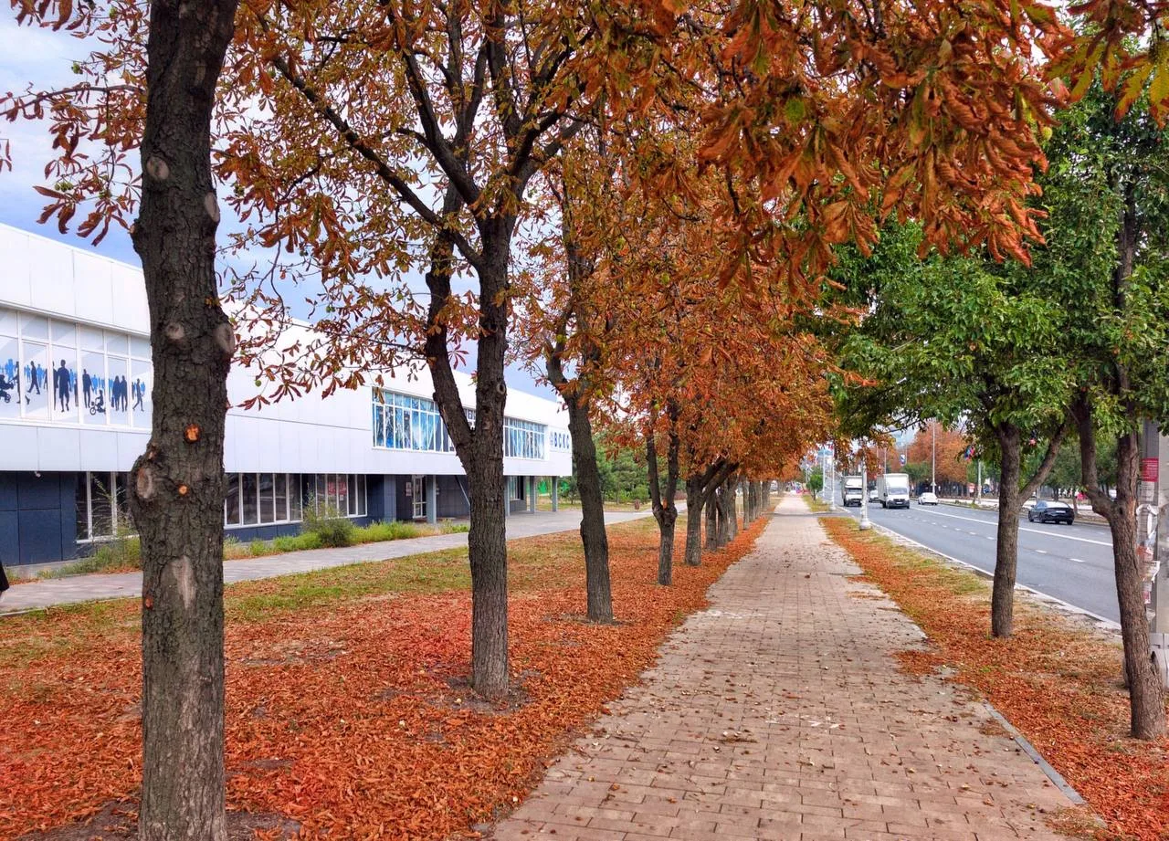 🍁 Мариуполь встречает дни бабьего лета.