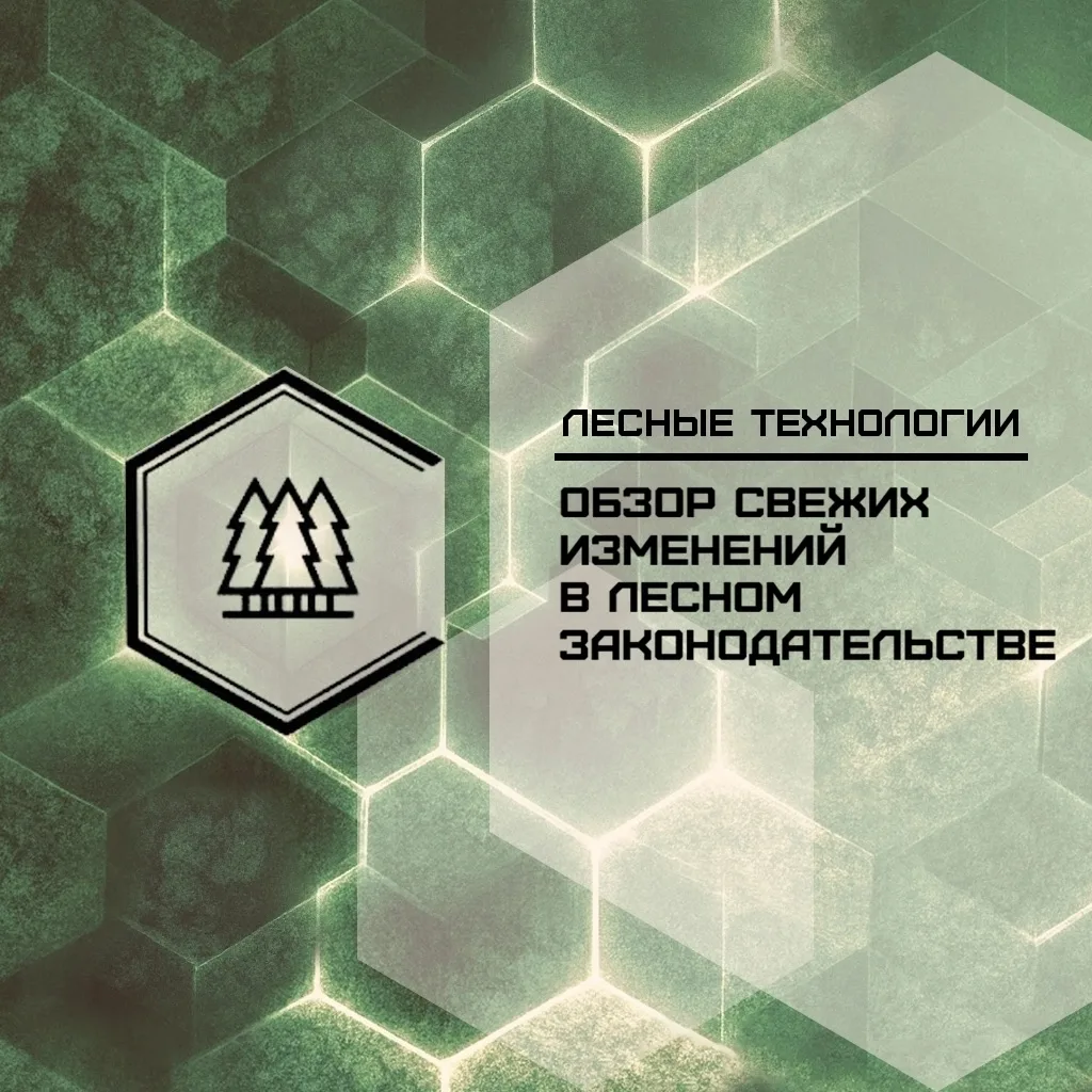 📚 Свежие изменения в лесном законодательстве

Лето 2026 богато на обновления в нормативных актах ле
