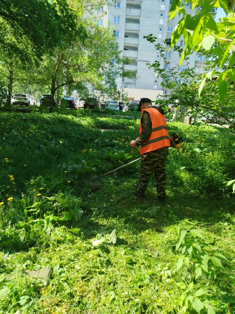 🌿 В летний сезон особое внимание уделяем благоустройству придомовых территорий: регулярно косим трав