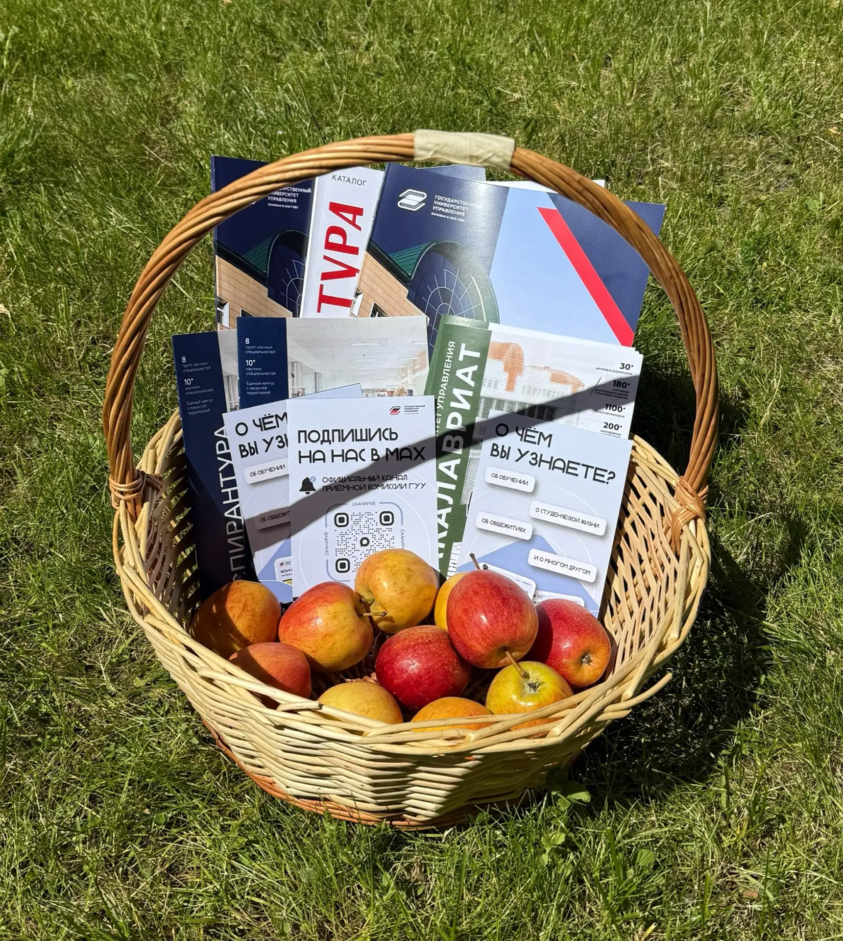 🍏 Лето — время планировать

Пока буклеты ГУУ дозревают в корзине с яблоками, приёмная кампания уже 