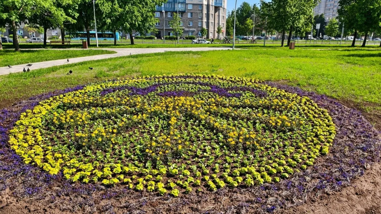 🌸В Муринском парке завершились работы по созданию цветников, приуроченных к Году единства народов Р