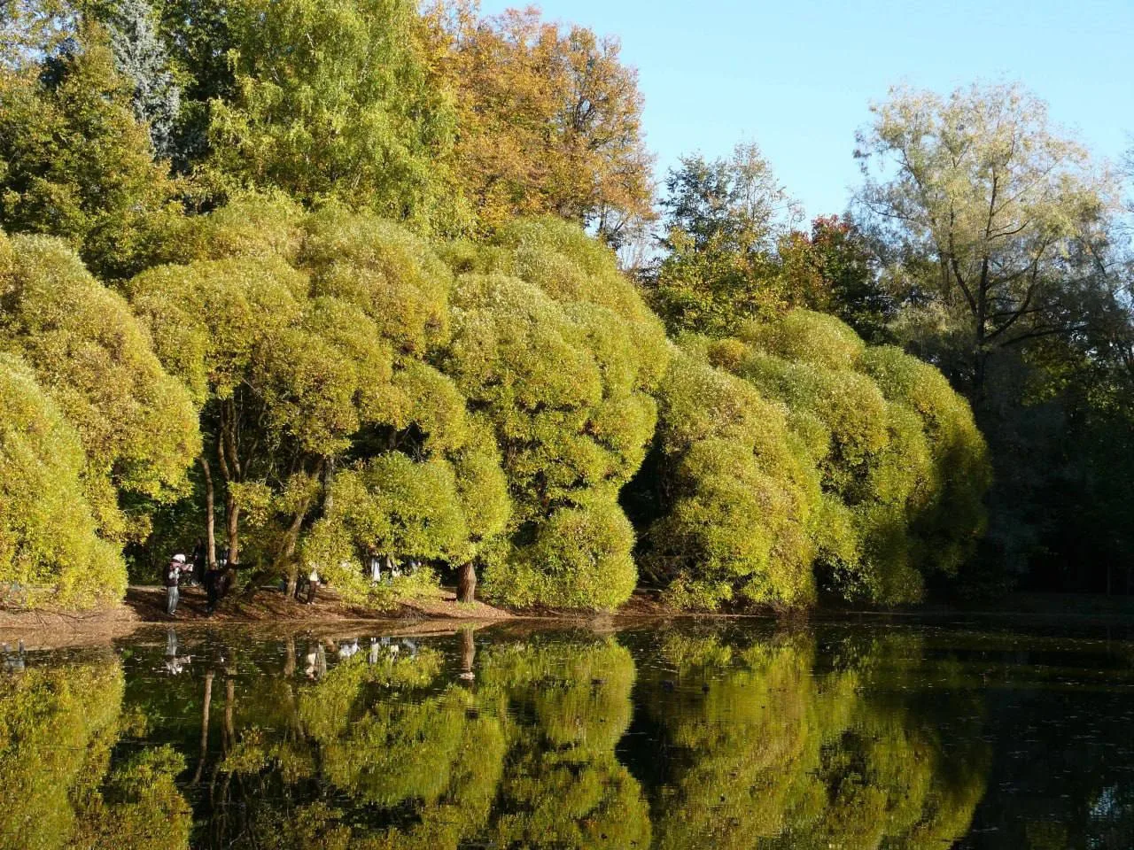 Нарышкинский пруд осенью 🍂